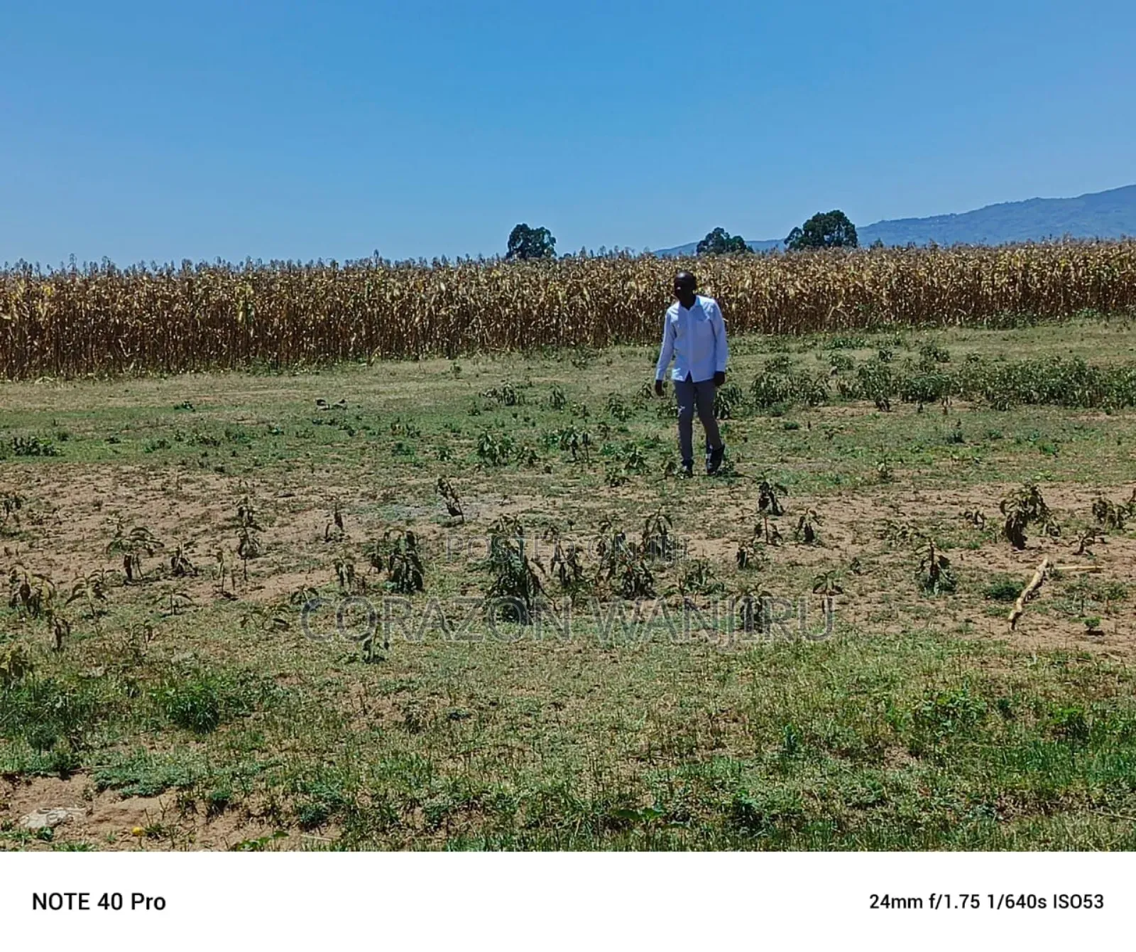 50*100plots in Mutaita Stima Line in Kapkures