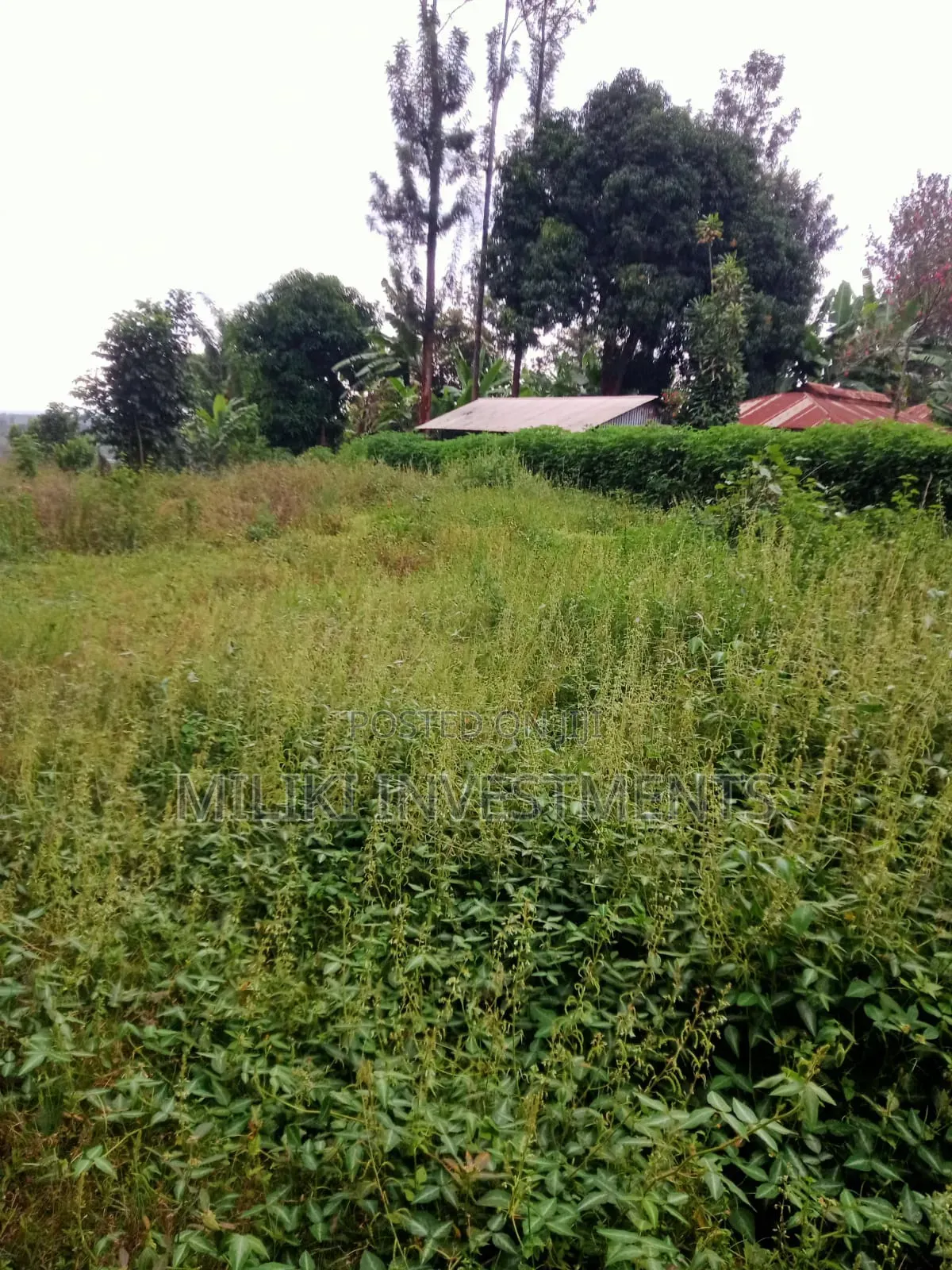 An Acre of Land Is on Sale at Kenol-Karūgia Mariani in Saba Saba