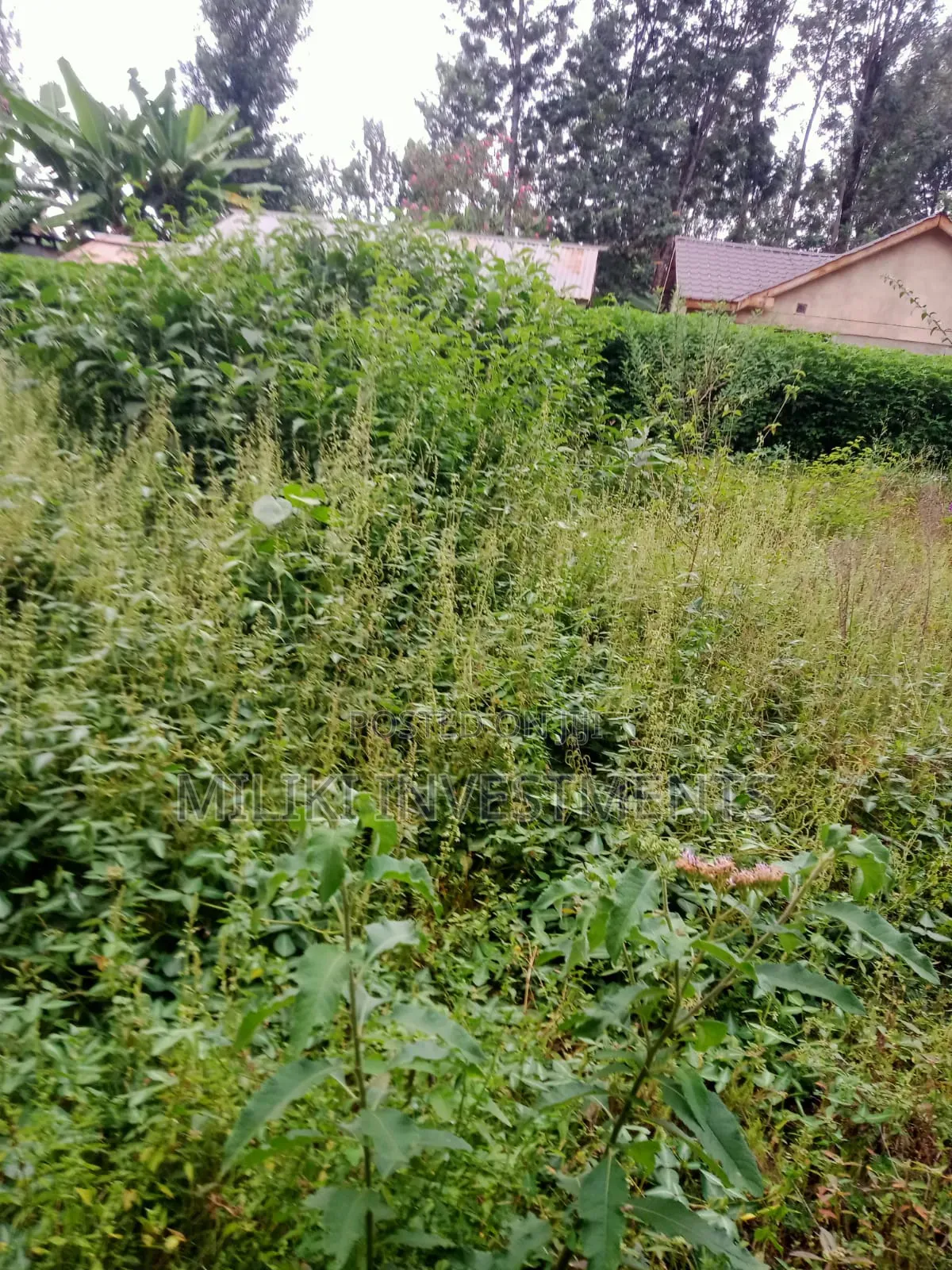An Acre of Land Is on Sale at Kenol-Karūgia Mariani in Saba Saba