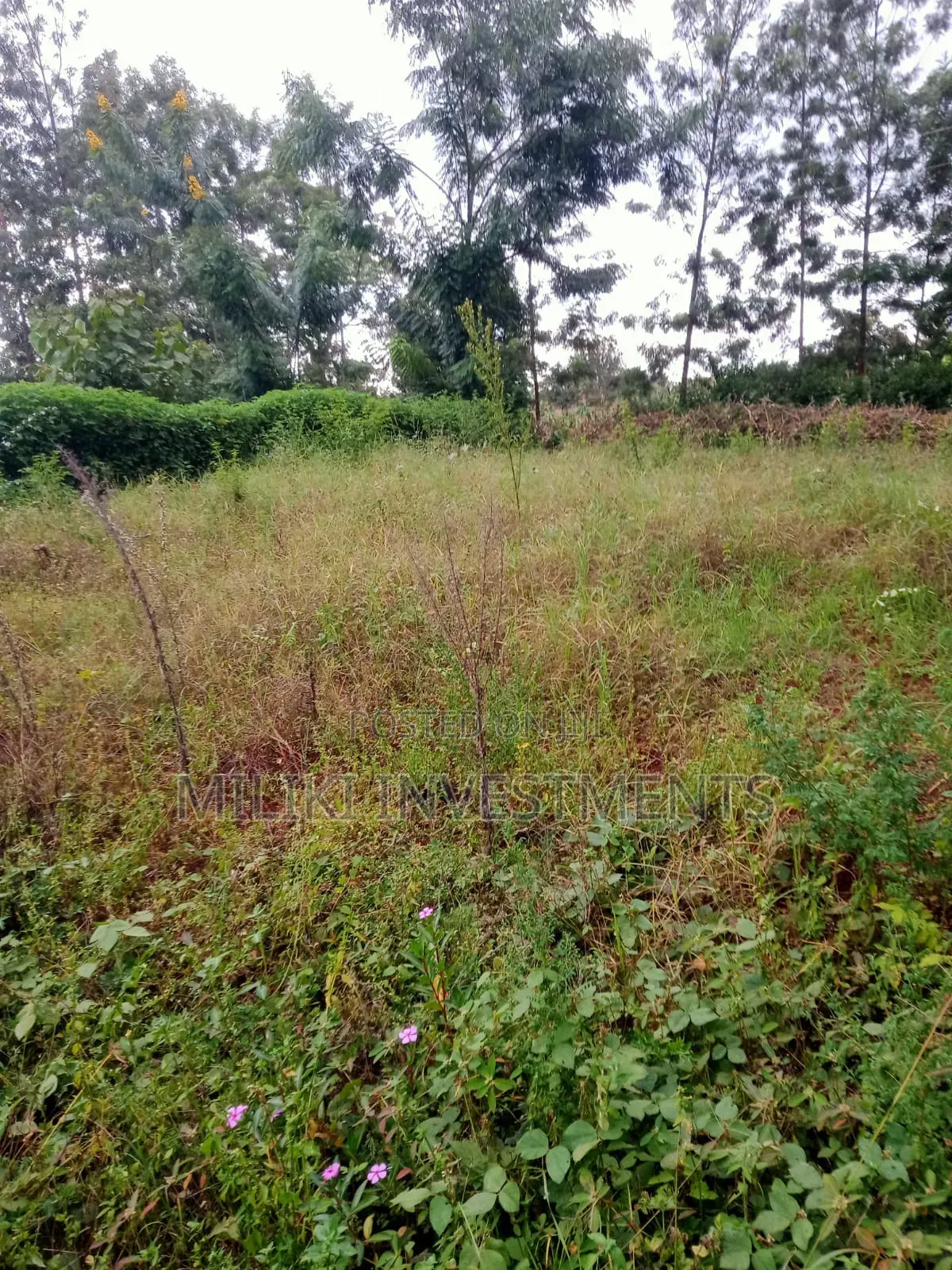 An Acre of Land Is on Sale at Kenol-Karūgia Mariani in Saba Saba