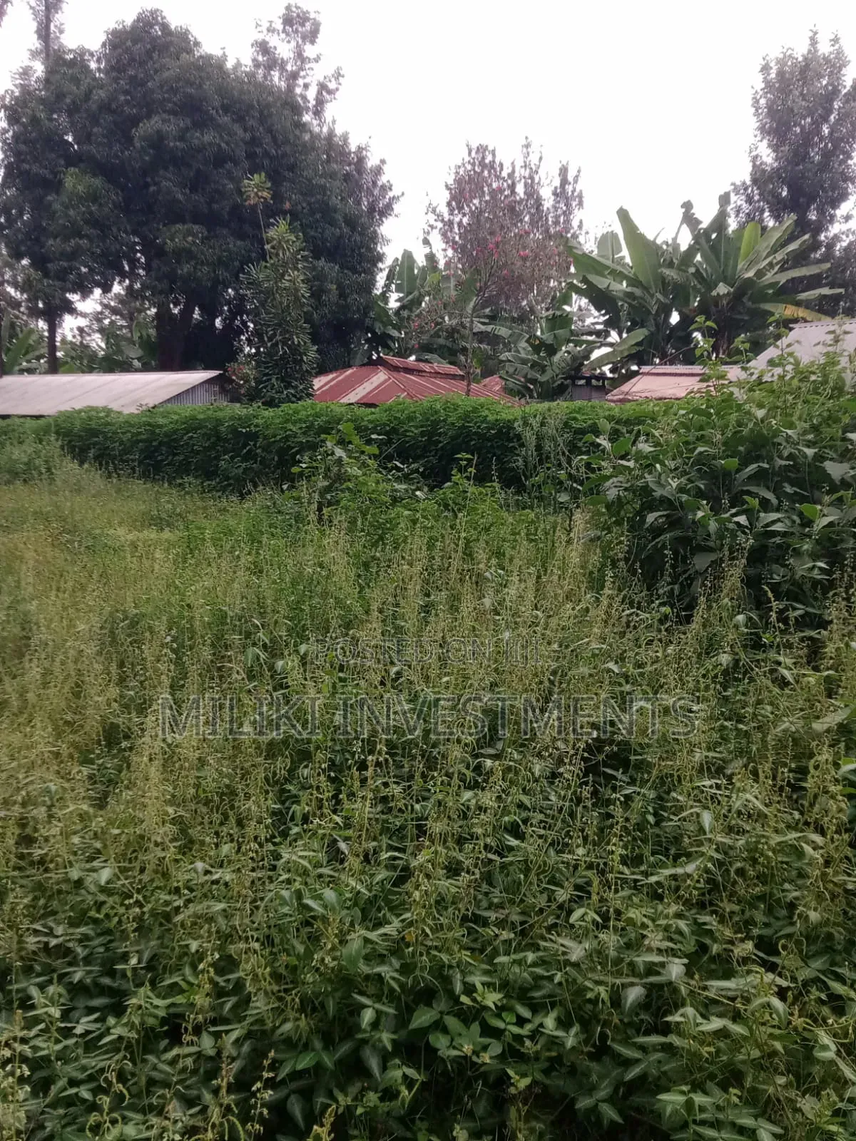 An Acre of Land Is on Sale at Kenol-Karūgia Mariani in Saba Saba