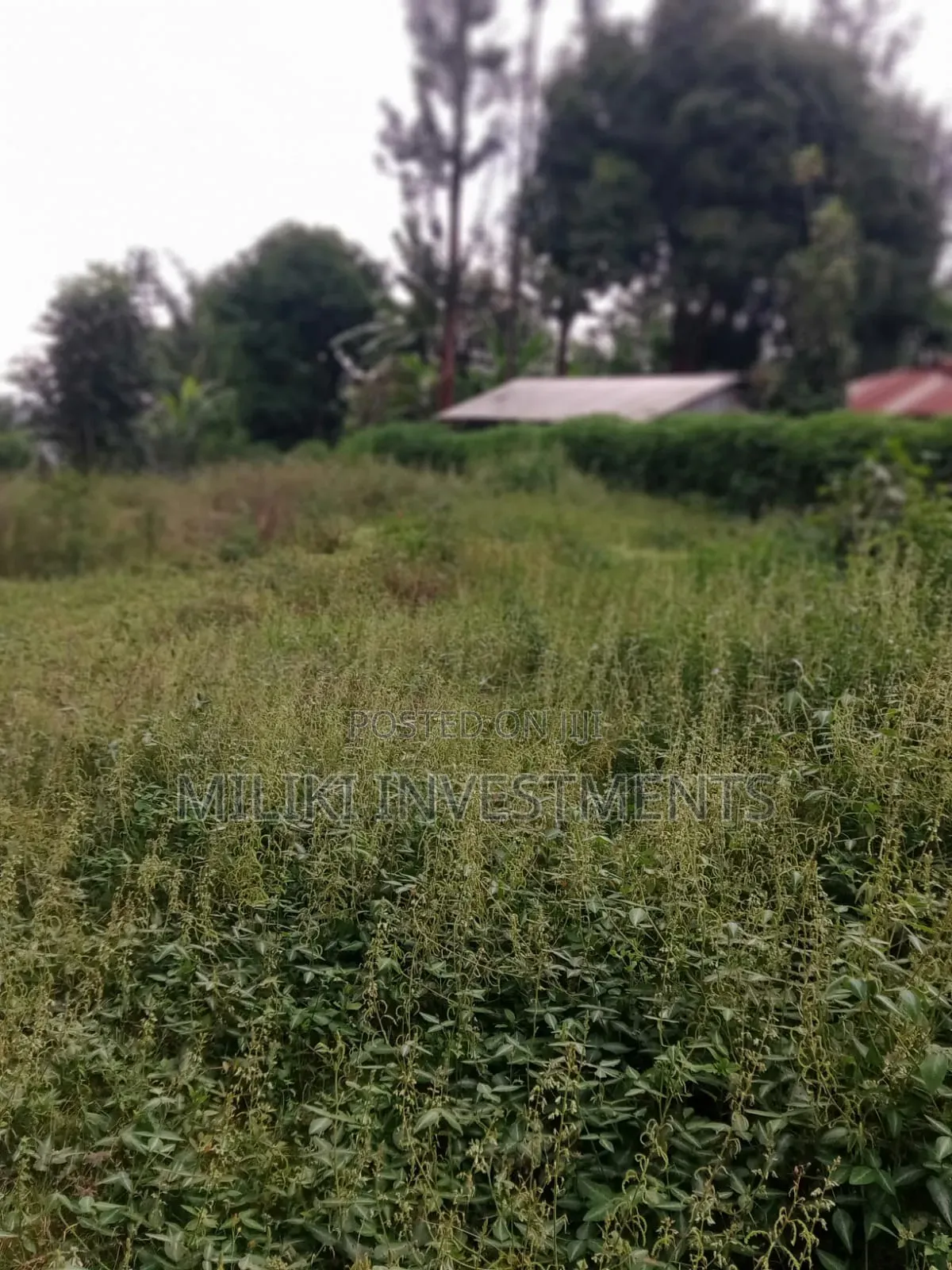 An Acre of Land Is on Sale at Kenol-Karūgia Mariani in Saba Saba