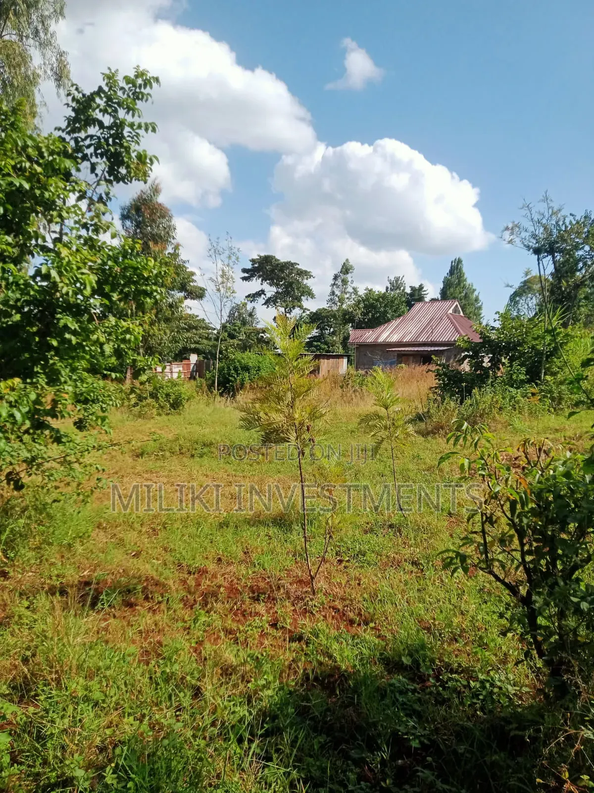 Quarter an Acre on Sale at a Kenol-Karugia in Kamahuha