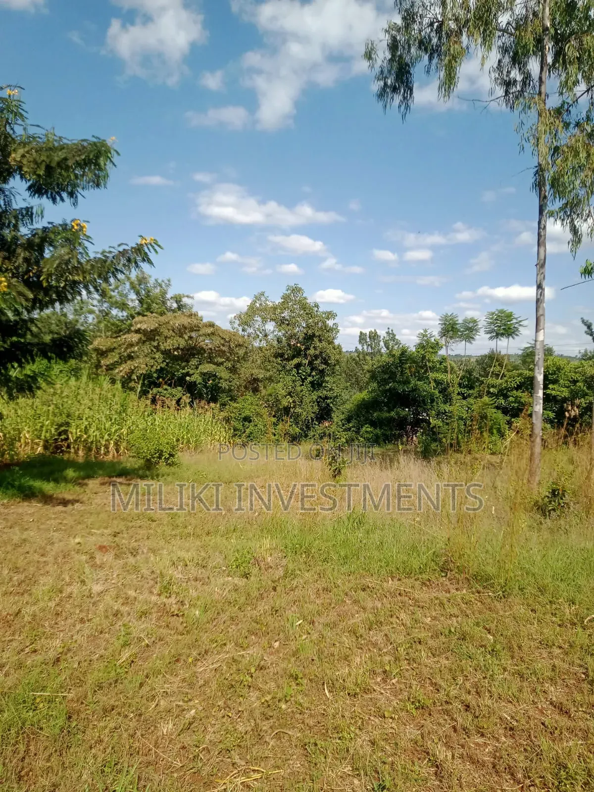 Quarter an Acre on Sale at a Kenol-Karugia in Kamahuha