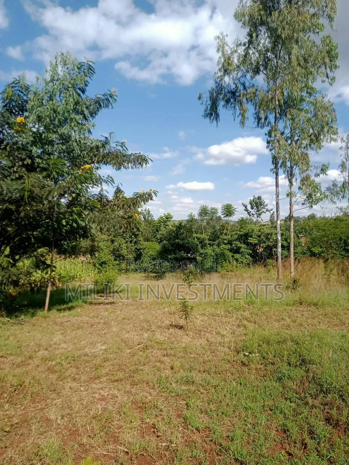 Quarter an Acre on Sale at a Kenol-Karugia in Kamahuha