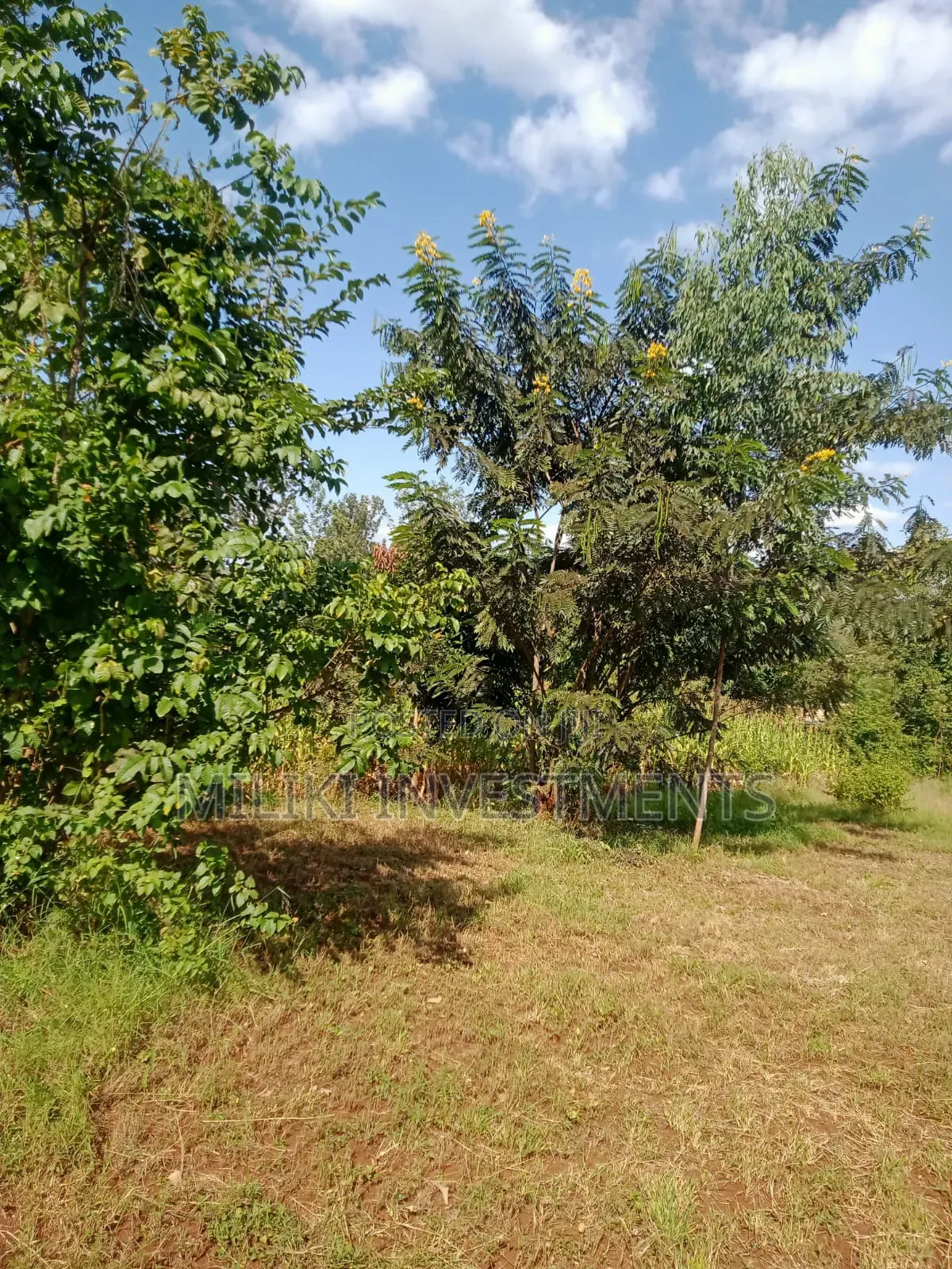 Quarter an Acre on Sale at a Kenol-Karugia in Kamahuha