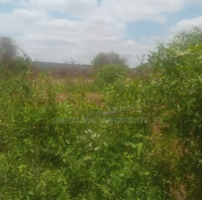 75 Acres Touching Athi River in Kambu Is Available for Sale in Mtito Andei