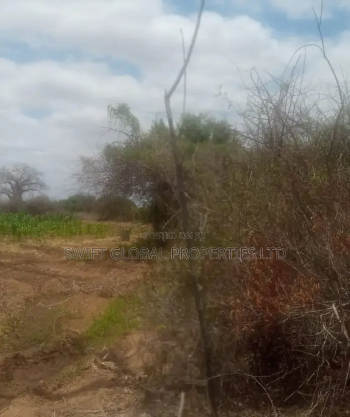 75 Acres Touching Athi River in Kambu Is Available for Sale in Mtito Andei