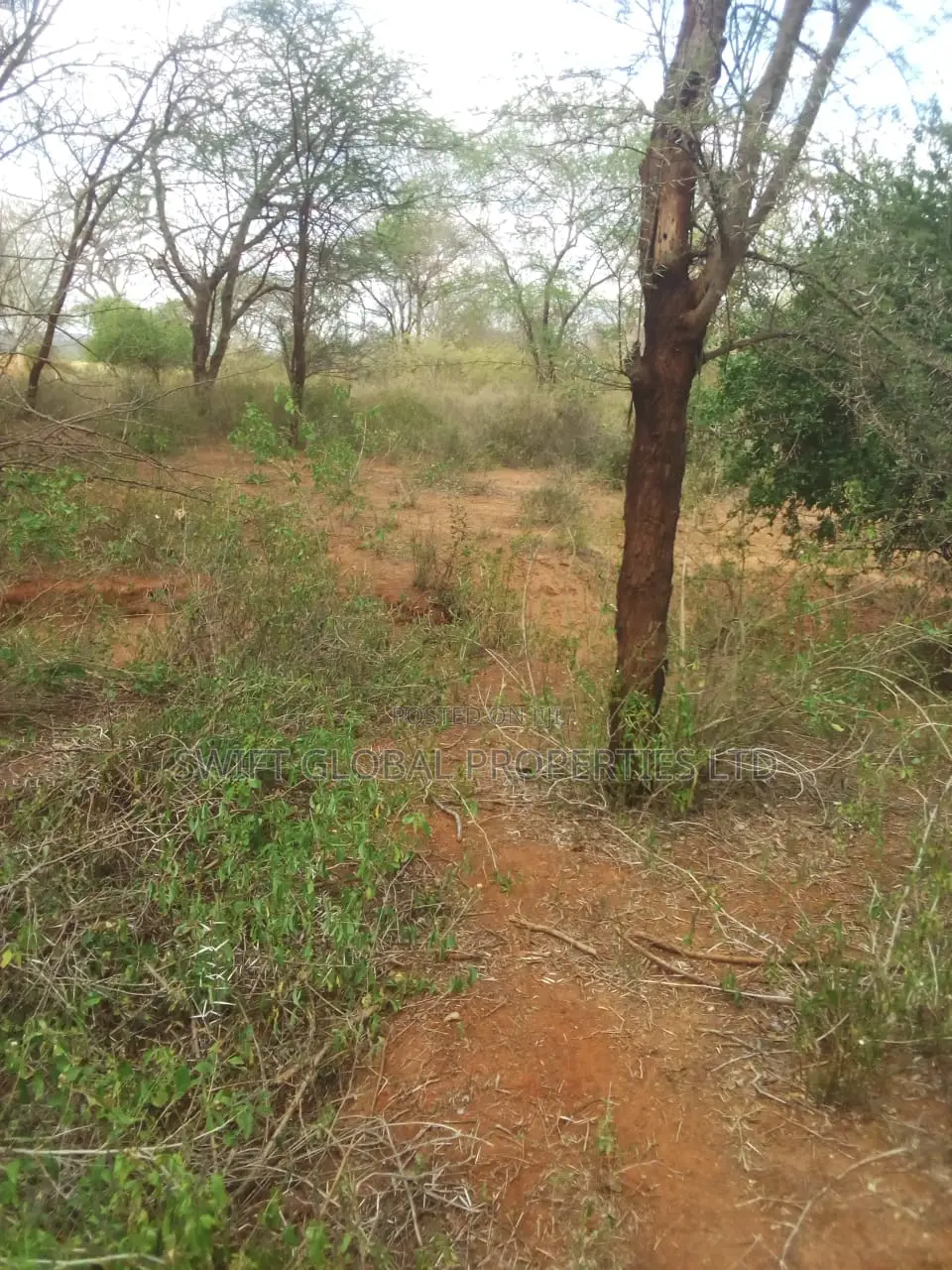 10,000 Acres Along Kibwezi-kitui Road Is Available For Sale in Mutomo