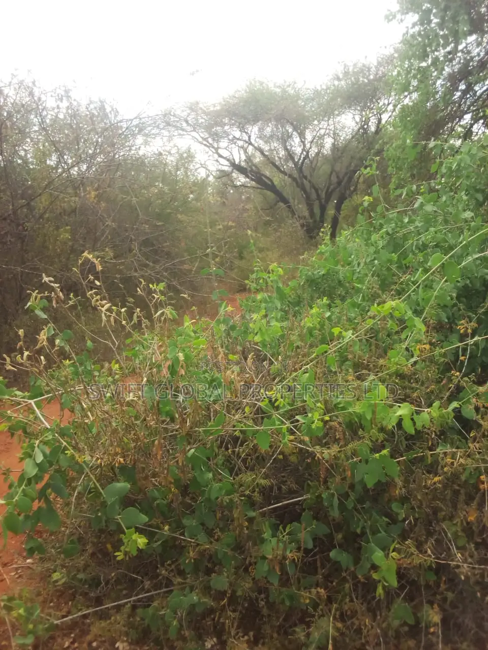 10,000 Acres Along Kibwezi-kitui Road Is Available For Sale in Mutomo