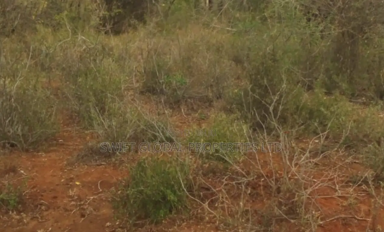 1,500 Acres Virgin Land in Kambu Makueni Is for Sale in Mtito Andei