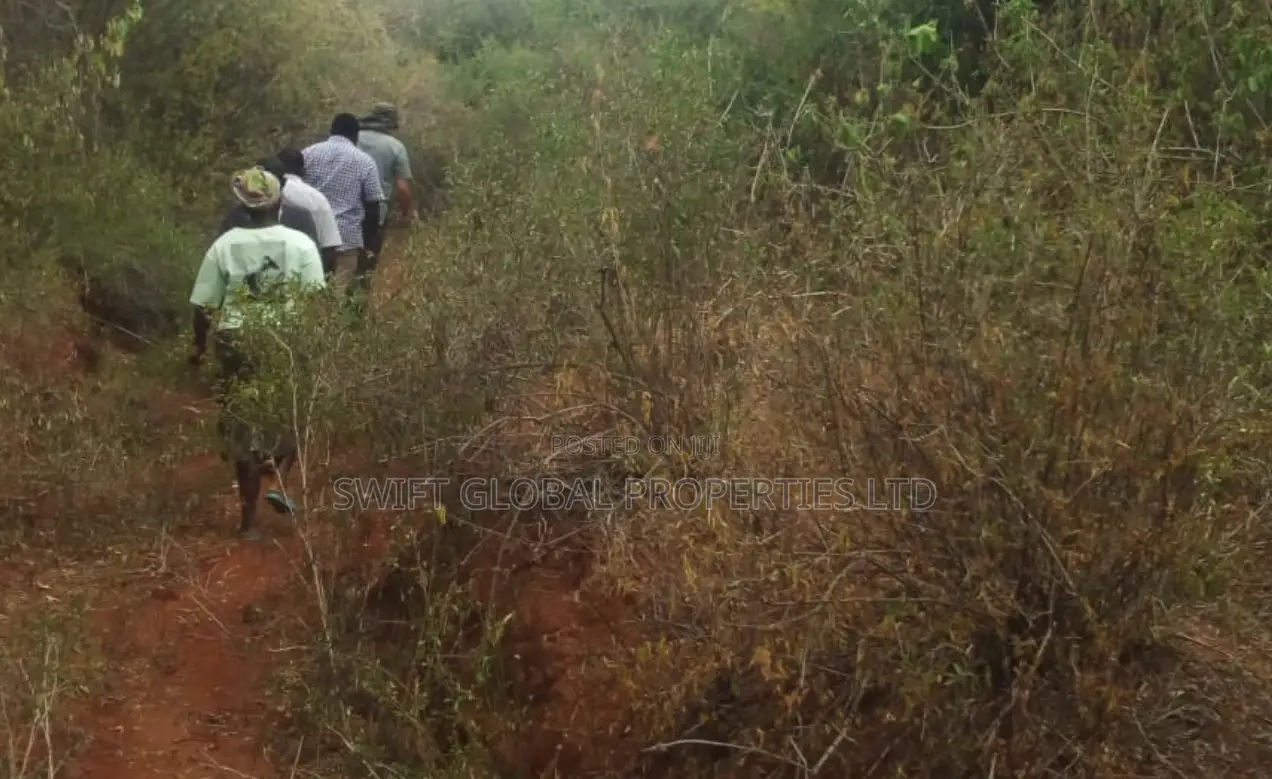 1,500 Acres Virgin Land in Kambu Makueni Is for Sale in Mtito Andei