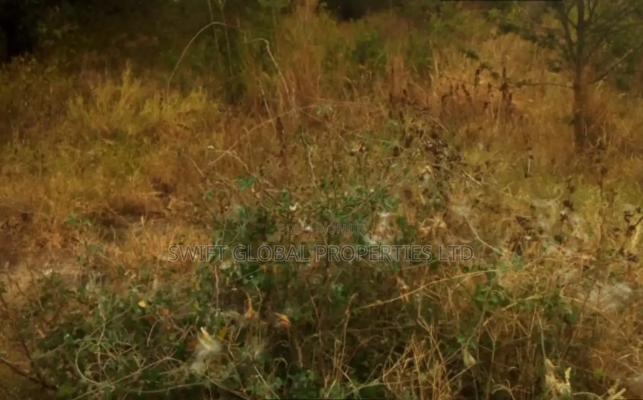 1,500 Acres Virgin Land in Kambu Makueni Is for Sale in Mtito Andei