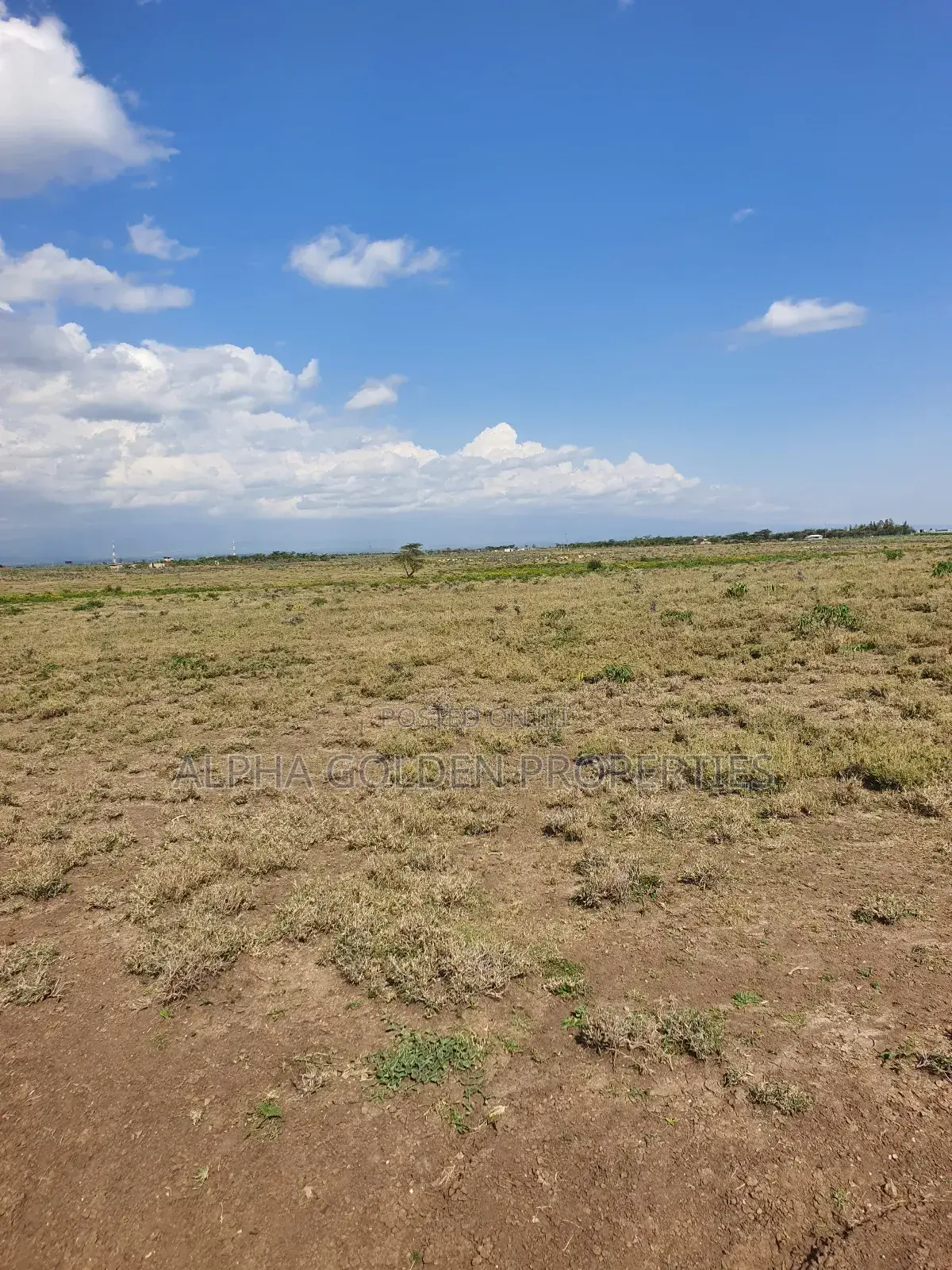 Nanyuki, Juakali 10 Acres in Tigithi