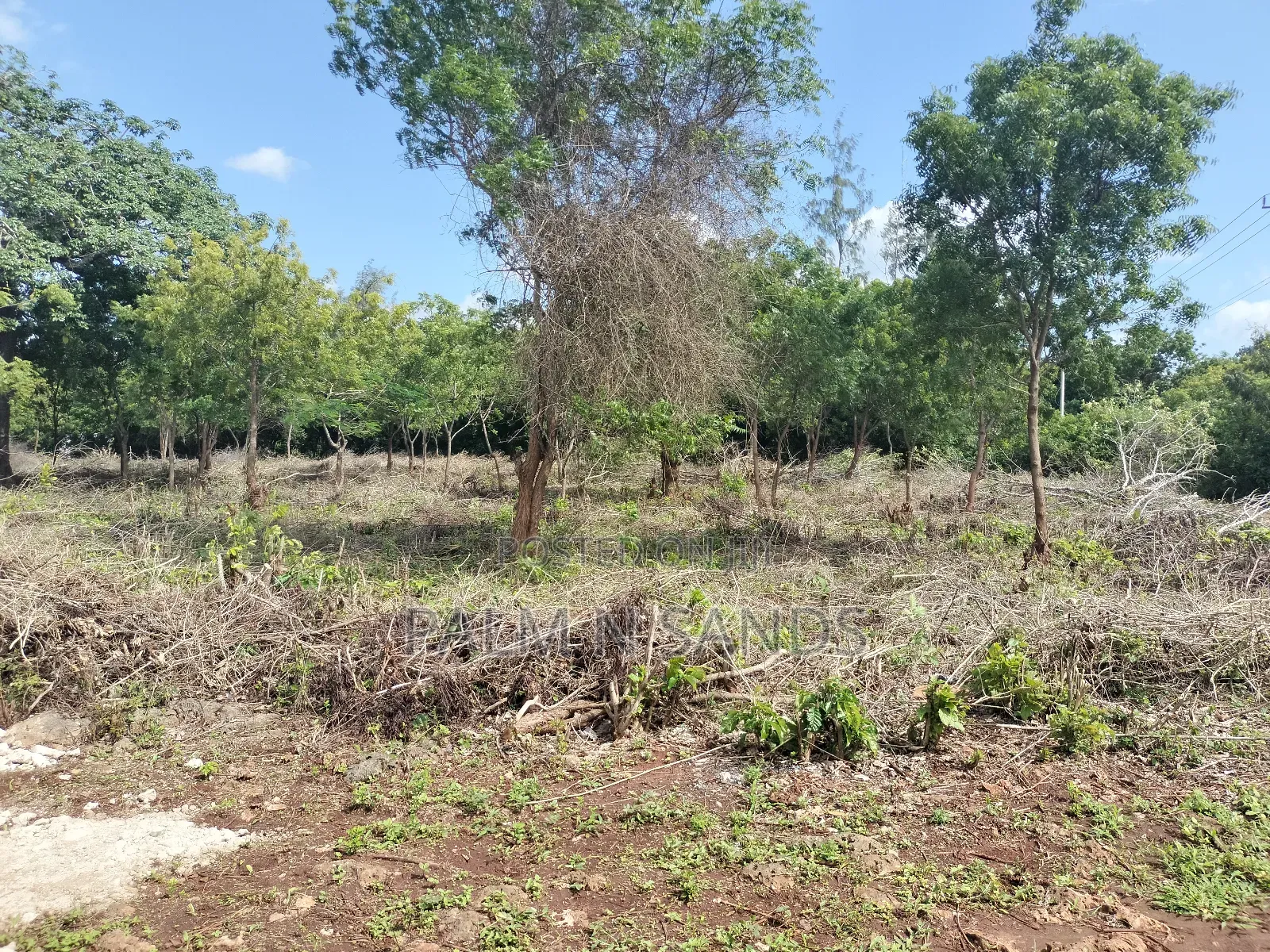 Half Acre Prime Land on Sale in Diani!! in Diani