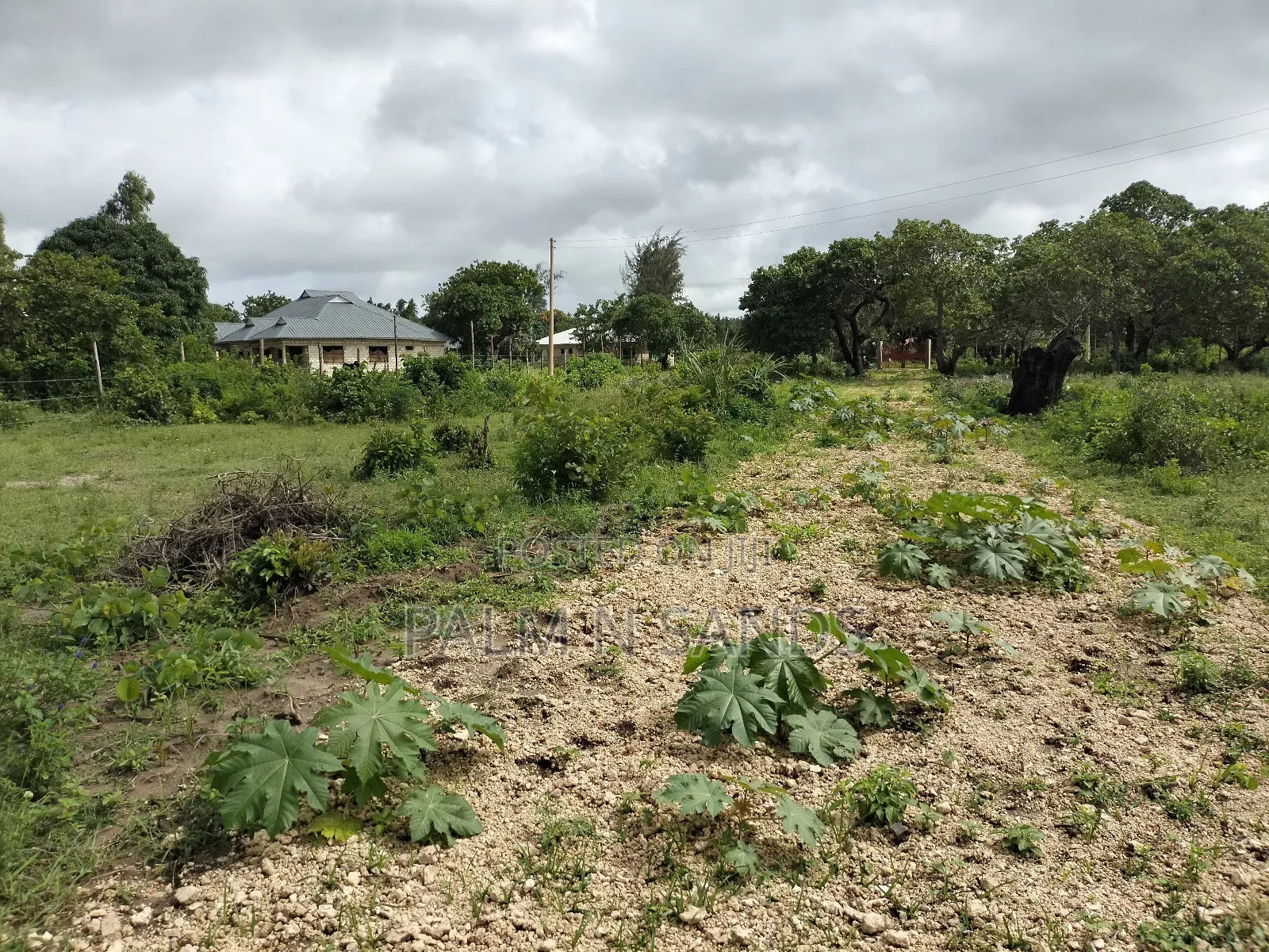 Kombani Prime Plots on Sale!! At  in Tiwi