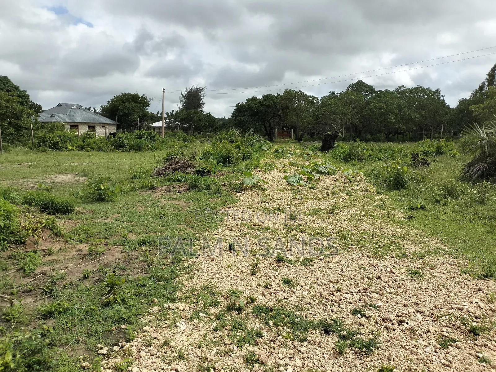 Kombani Prime Plots on Sale!! At  in Tiwi