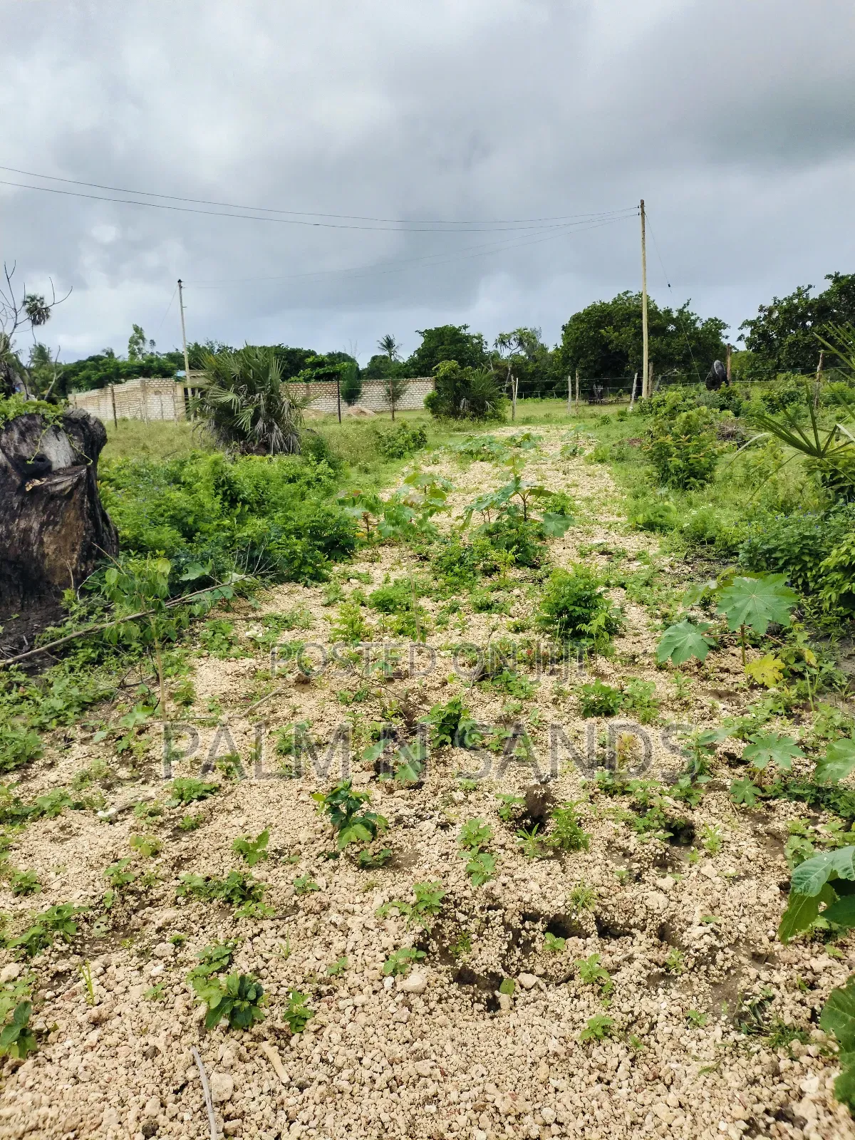 Kombani Prime Plots on Sale!! At  in Tiwi