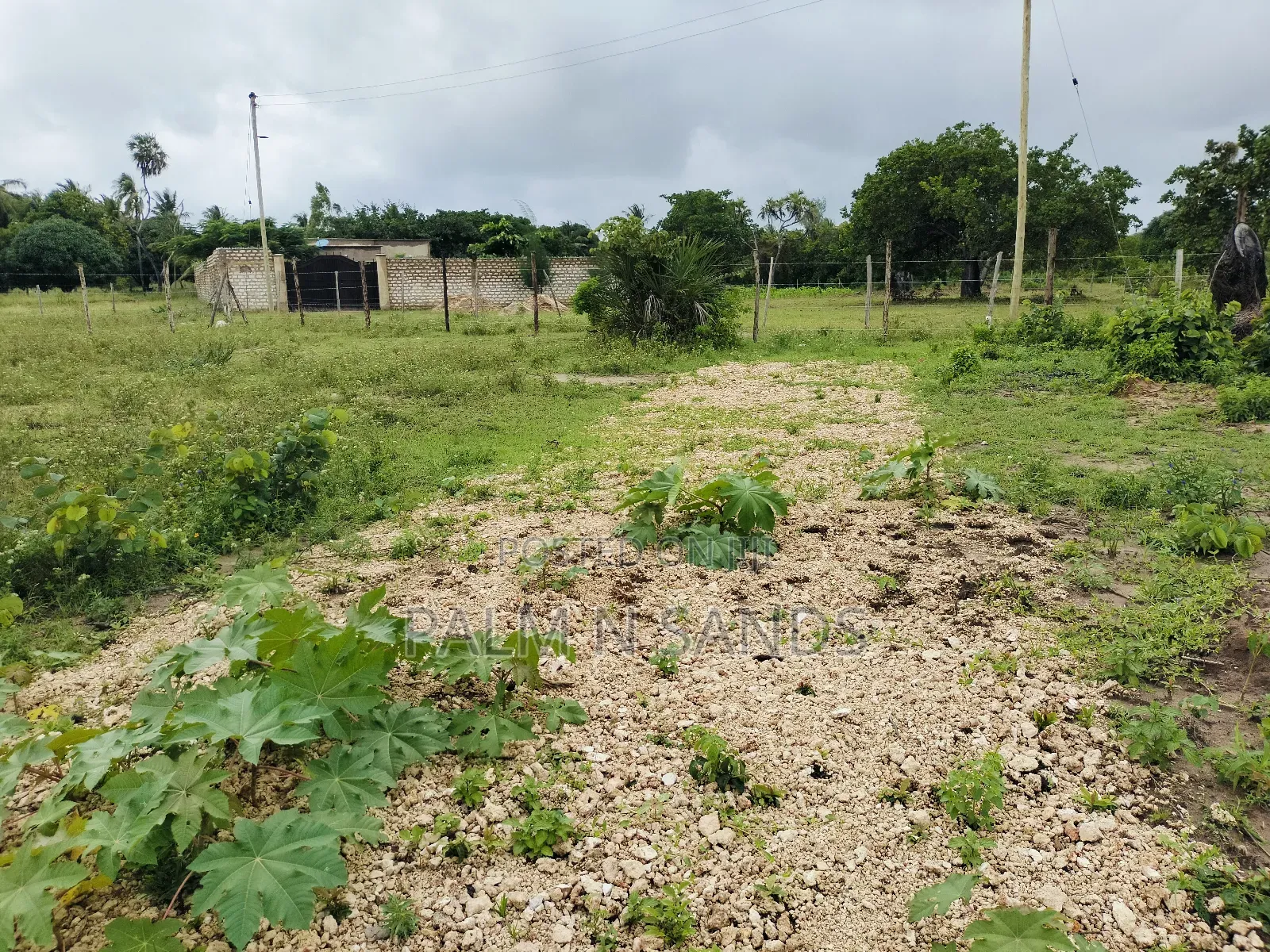 Kombani Prime Plots on Sale!! At  in Tiwi
