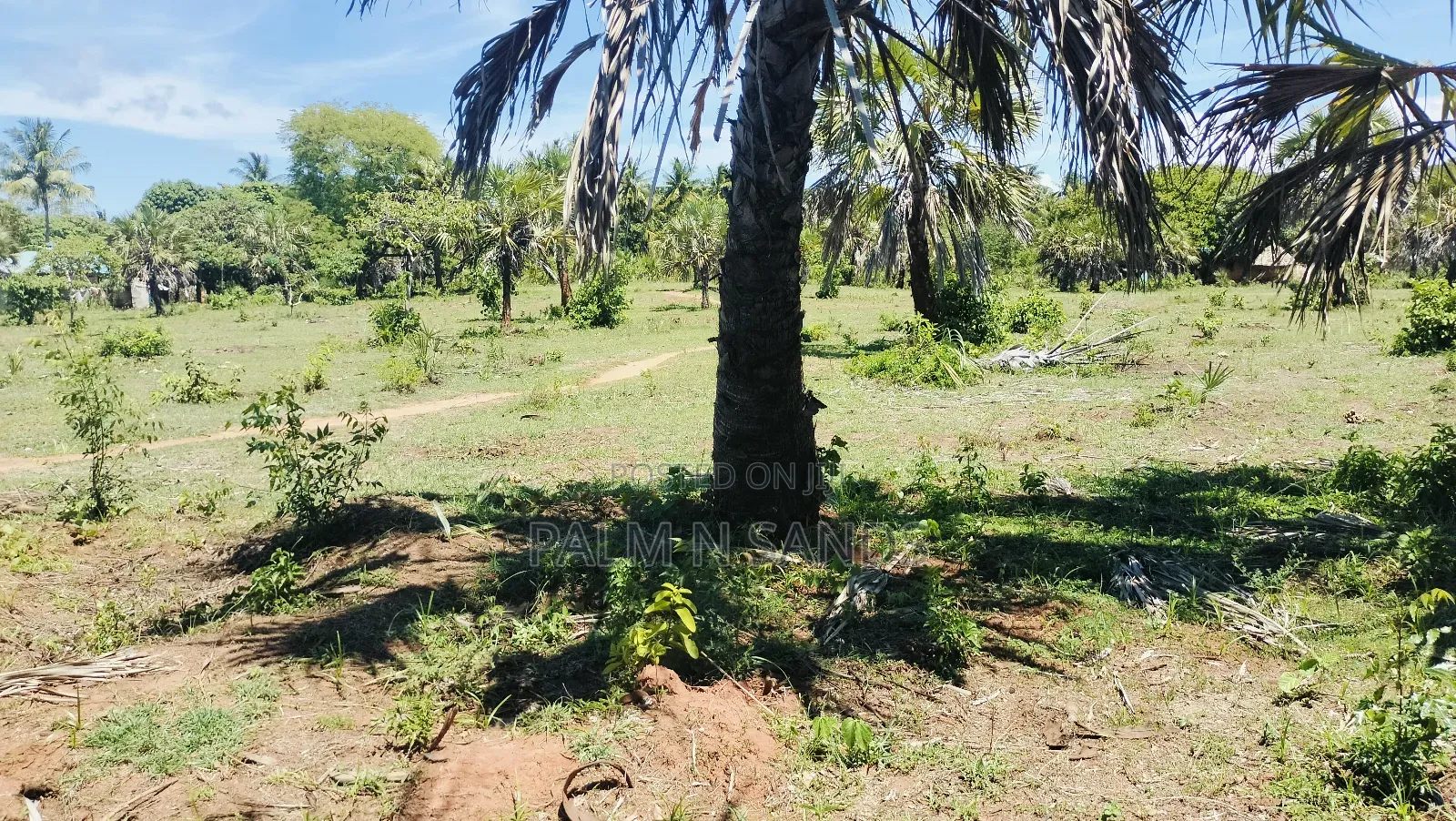 1.5 Acre Galu Land on Sale!! in Diani