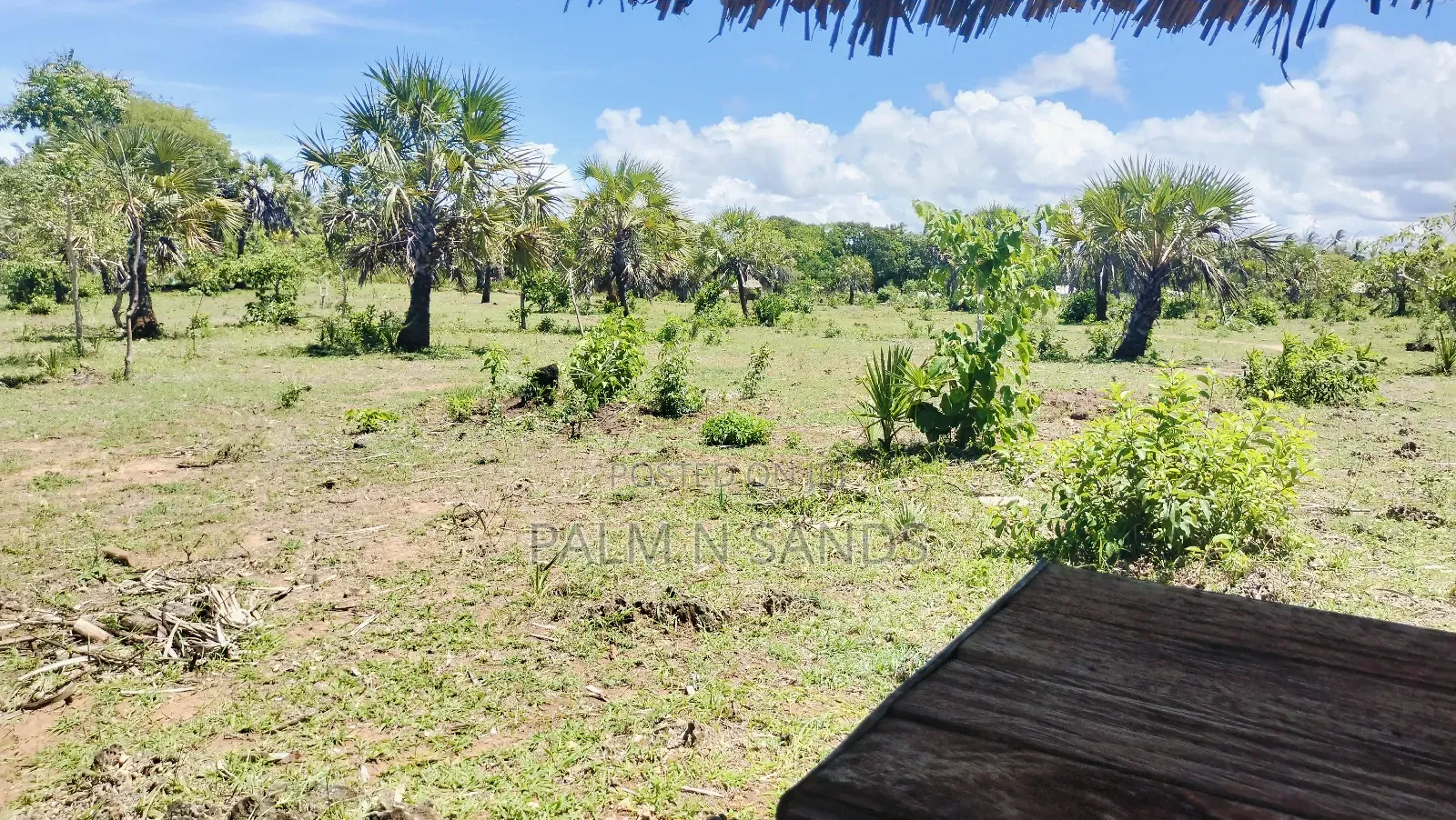 1.5 Acre Galu Land on Sale!! in Diani