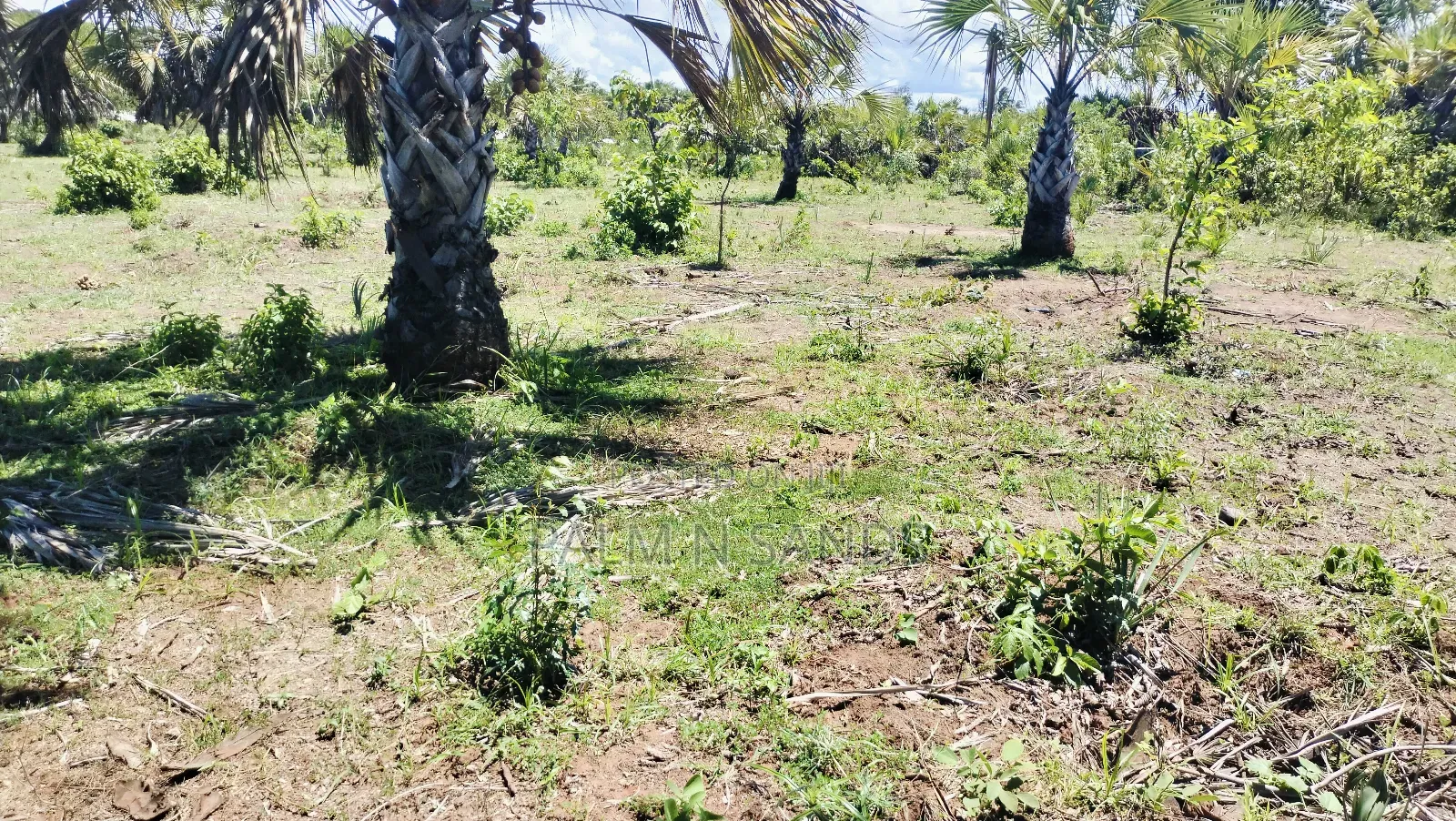 1.5 Acre Galu Land on Sale!! in Diani