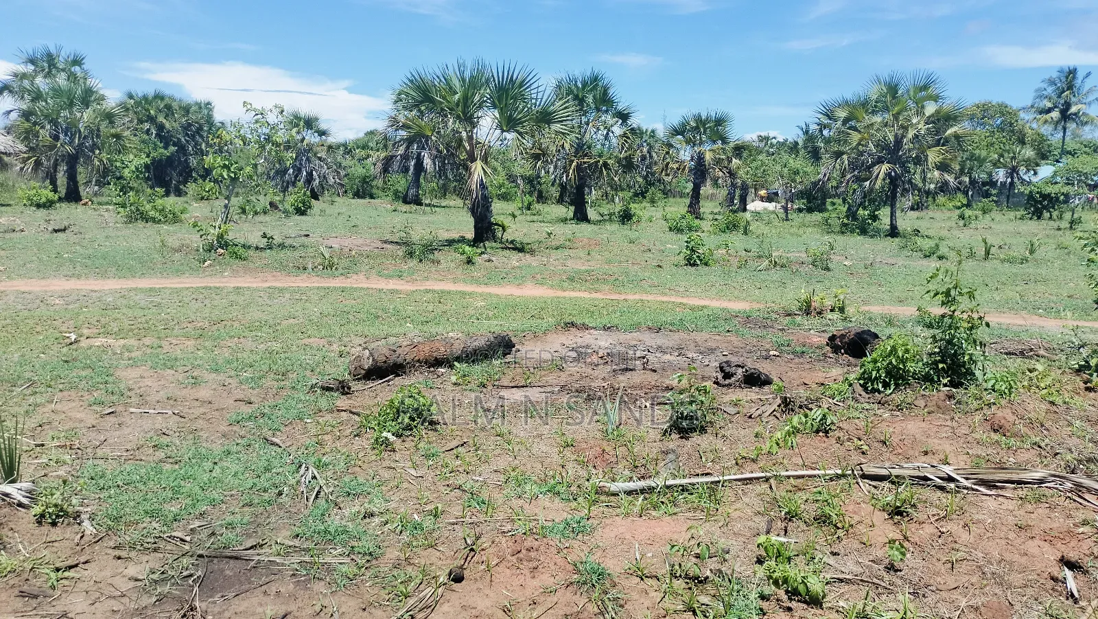 1.5 Acre Galu Land on Sale!! in Diani