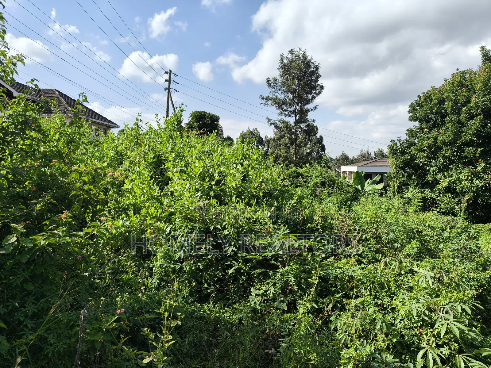 Quarter Acre Plot in Ngong Along Kerarapon Drive Near Tarmac in Kerarapon