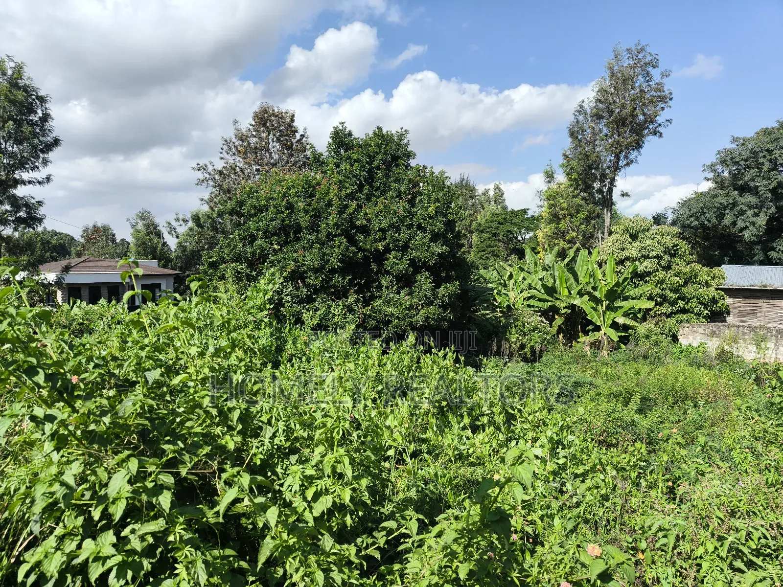Quarter Acre Plot in Ngong Along Kerarapon Drive Near Tarmac in Kerarapon