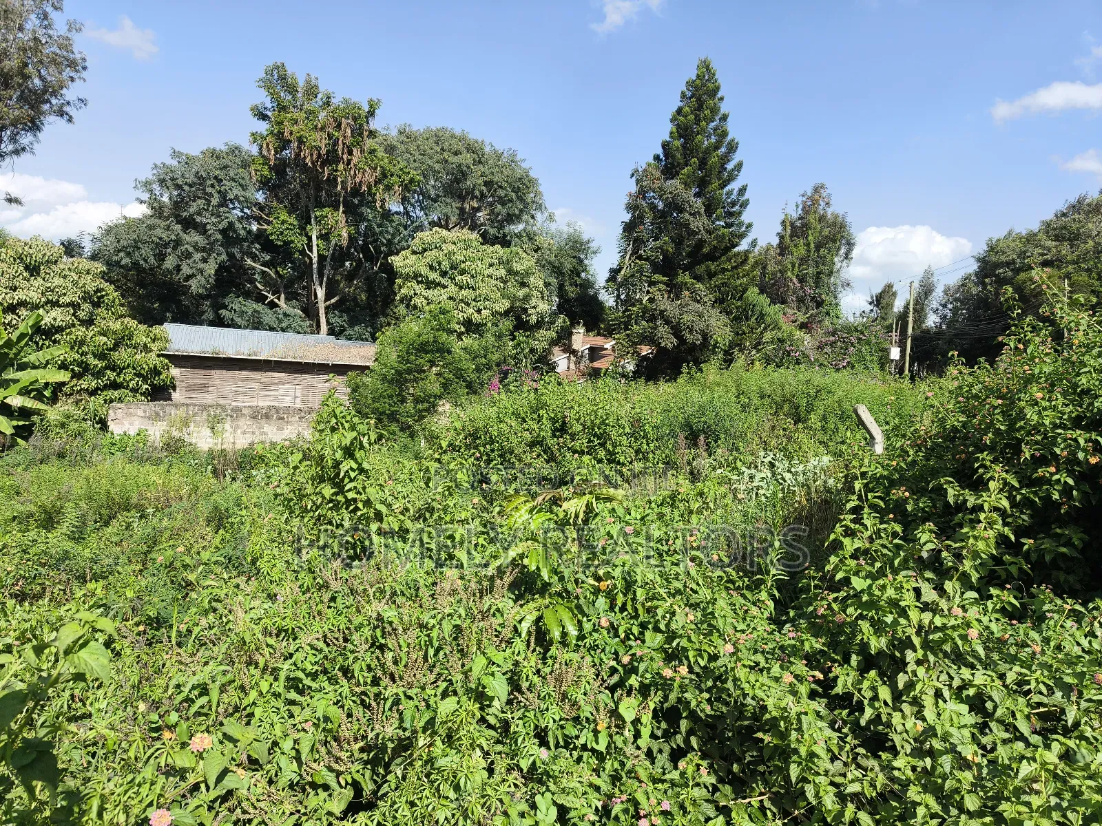 Quarter Acre Plot in Ngong Along Kerarapon Drive Near Tarmac in Kerarapon
