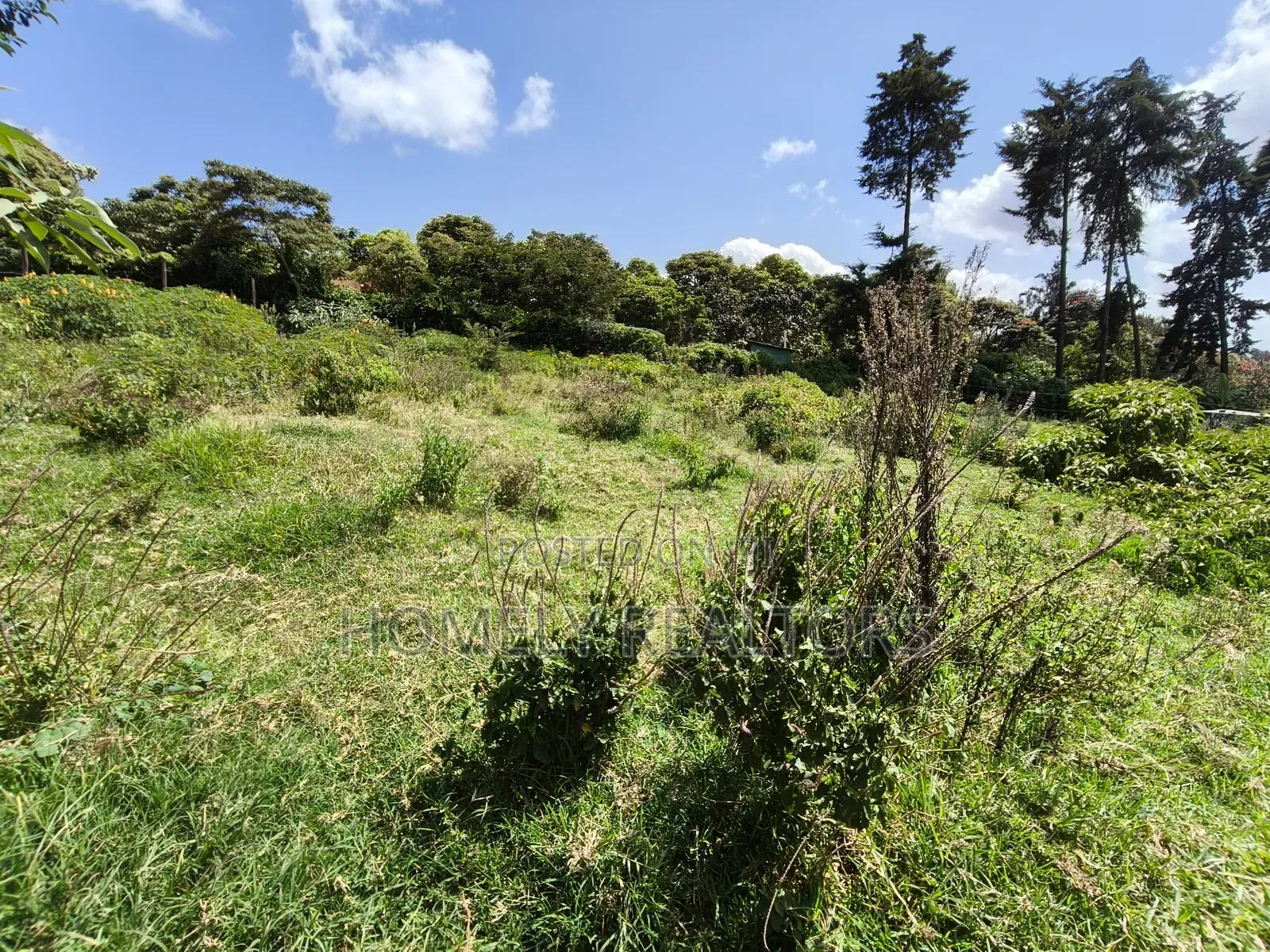 Quarter Acre Plot in Ngong, Lemiso Road With Scenic View in Ngong