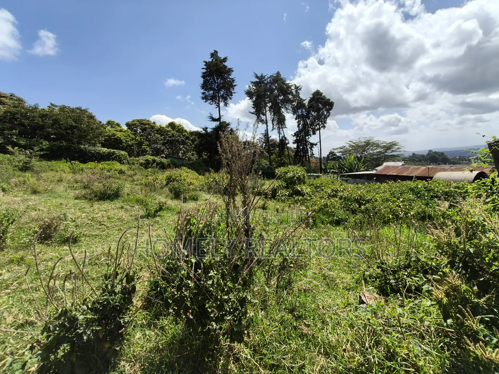 Quarter Acre Plot in Ngong, Lemiso Road With Scenic View in Ngong