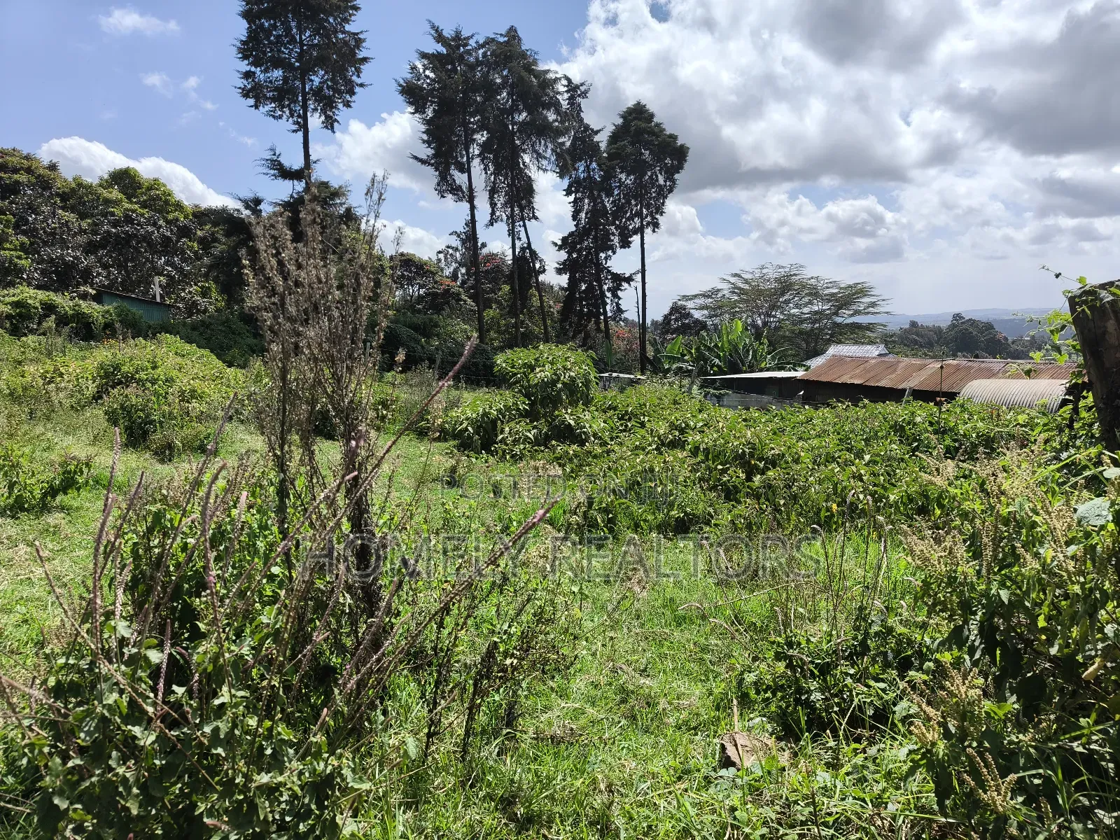 Quarter Acre Plot in Ngong, Lemiso Road With Scenic View in Ngong