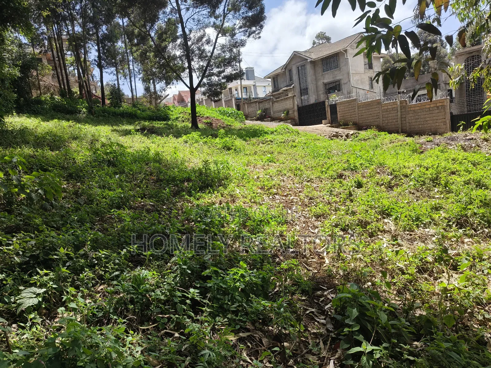 Quarter Acre Plot in Ngong Along Lemiso Road Near Tarmac in Ngong