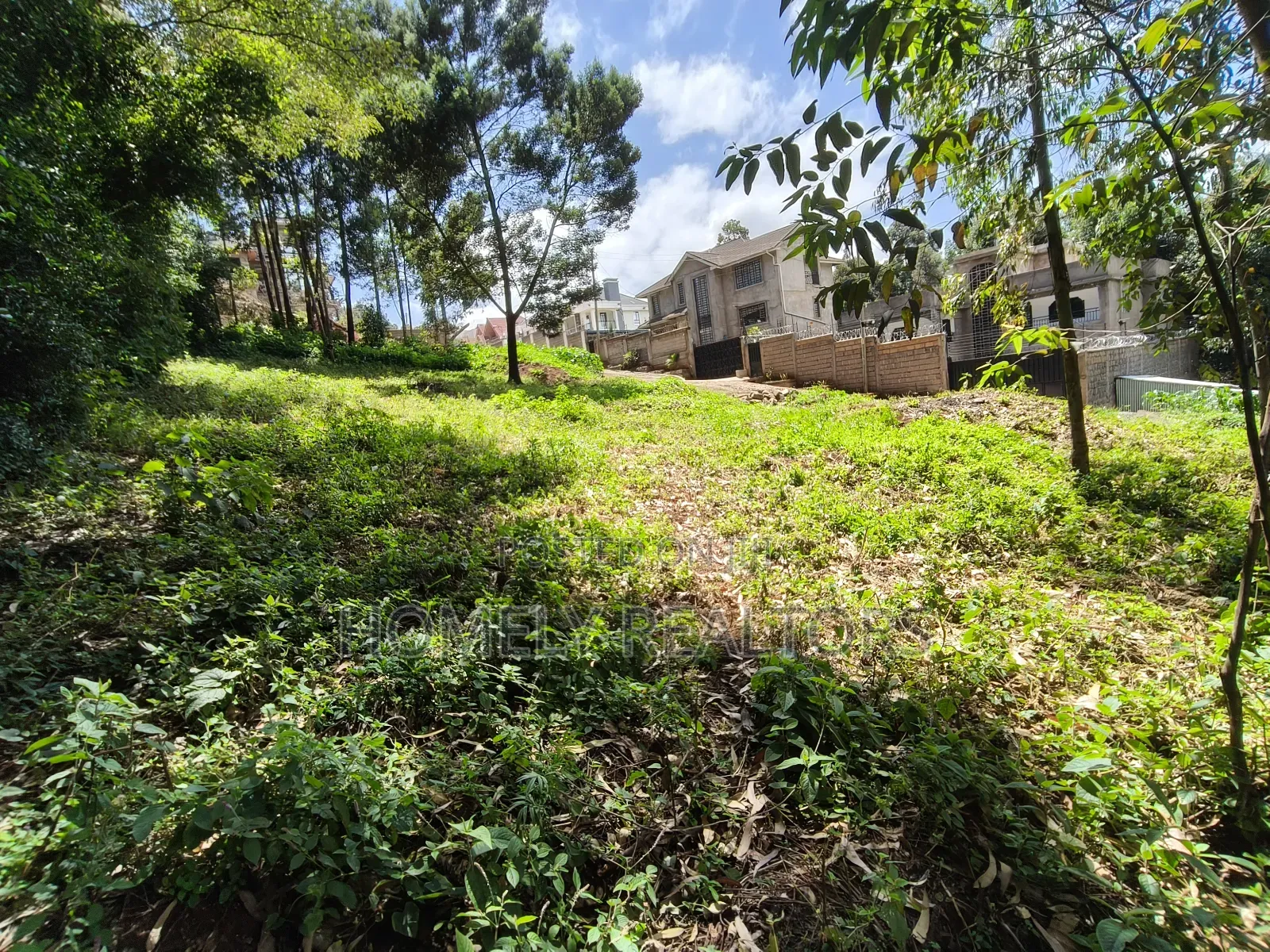 Quarter Acre Plot in Ngong Along Lemiso Road Near Tarmac in Ngong