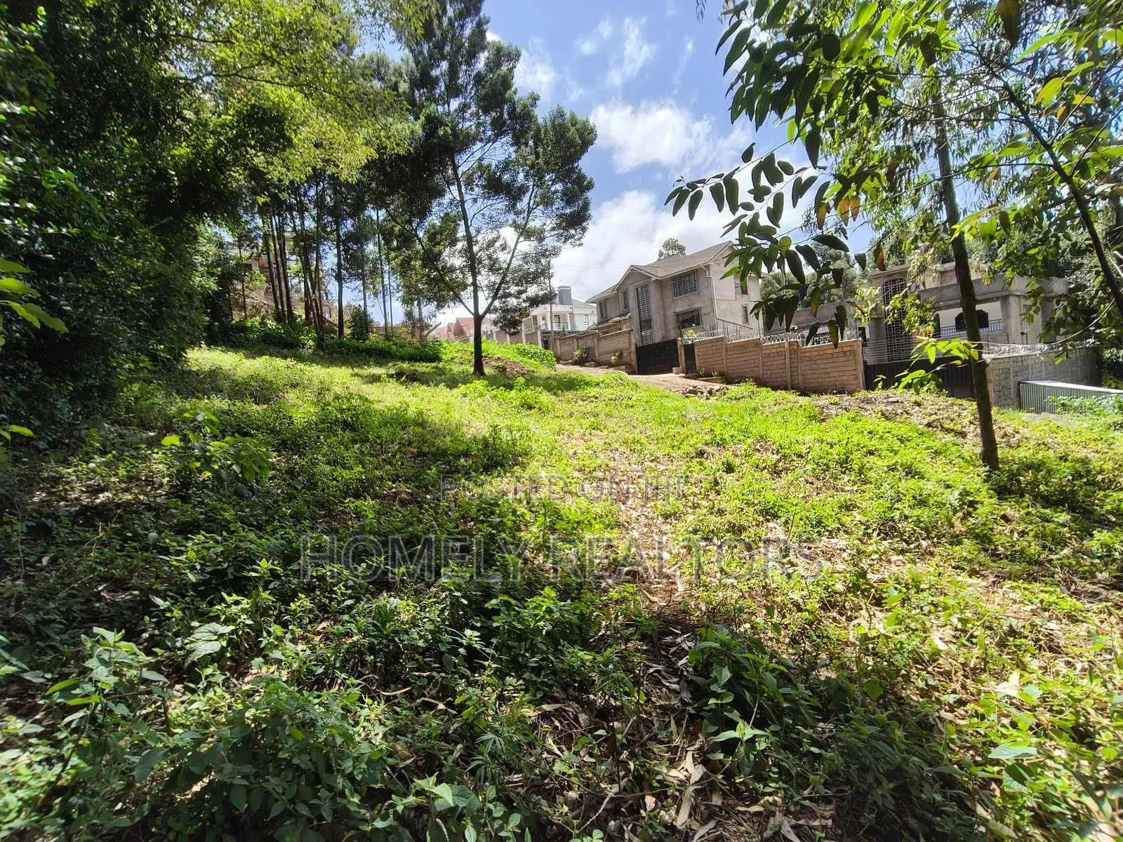 Quarter Acre Plot in Ngong Along Lemiso Road Near Tarmac in Ngong