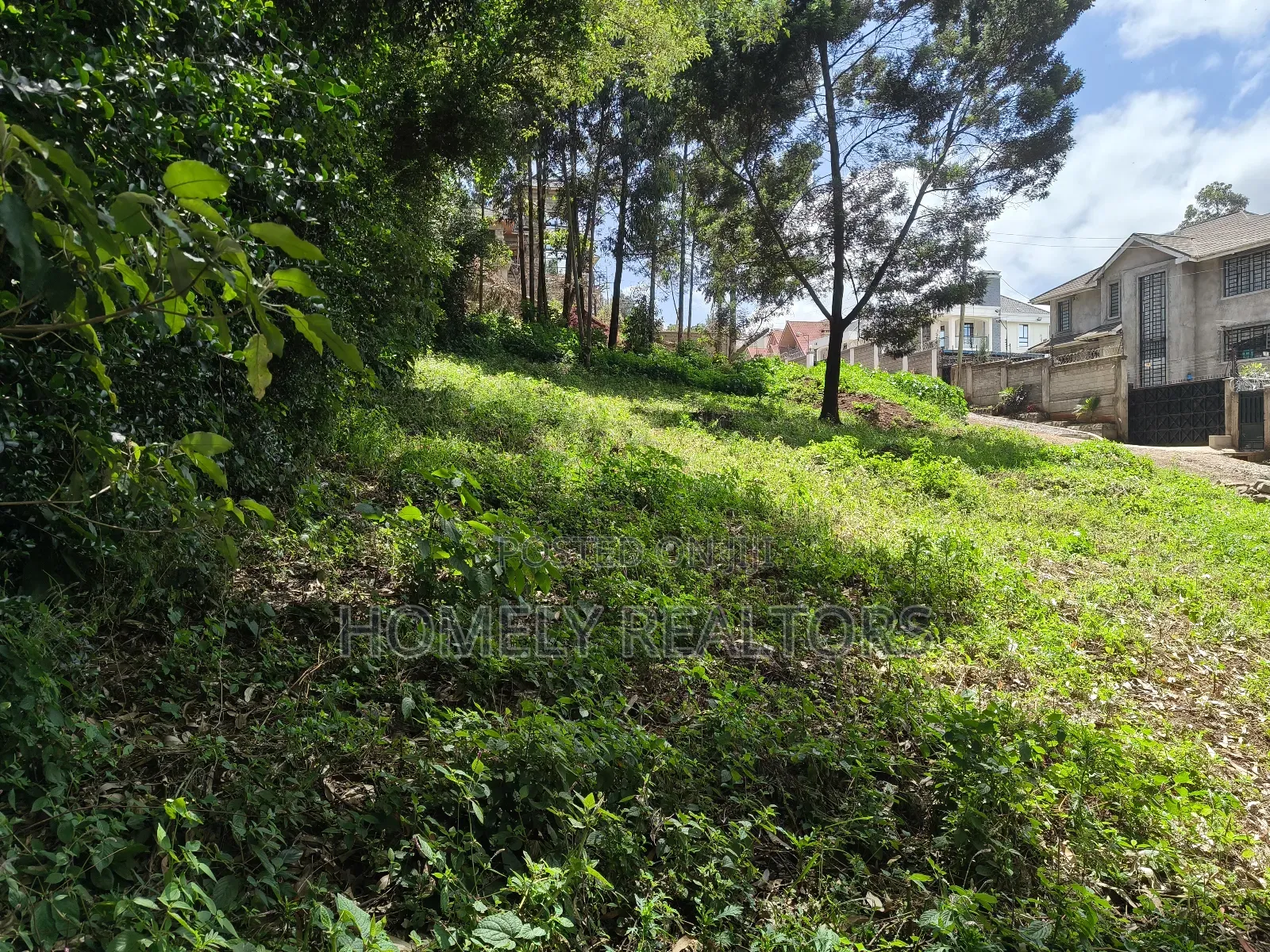 Quarter Acre Plot in Ngong Along Lemiso Road Near Tarmac in Ngong