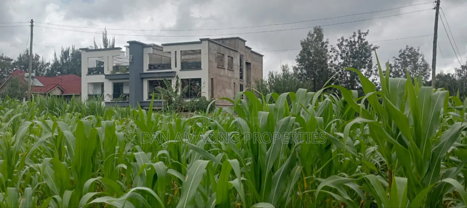 50 by 100 Plot in Matasia Memusi Along Rapasi Road for Sale in Matasia