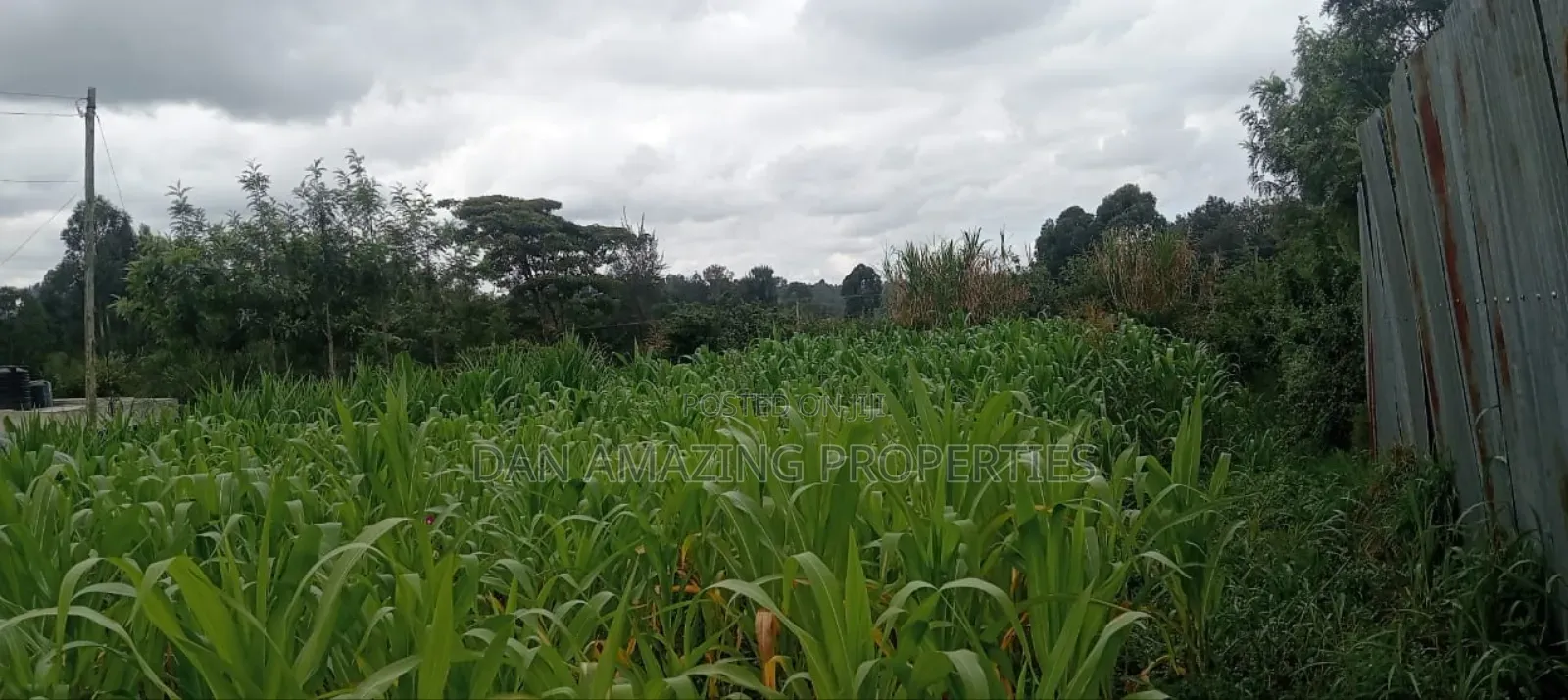 50 by 100 Plot in Matasia Memusi Along Rapasi Road for Sale in Matasia