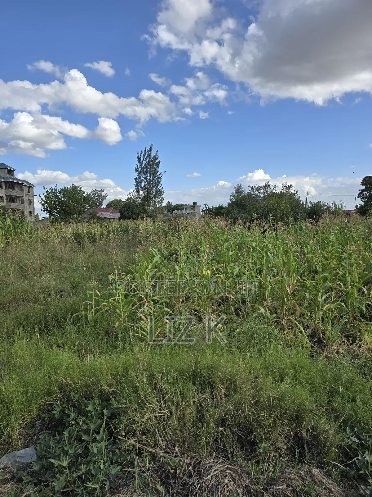 Residential Plot in Kimbo Junction(Catholic) in Ruiru