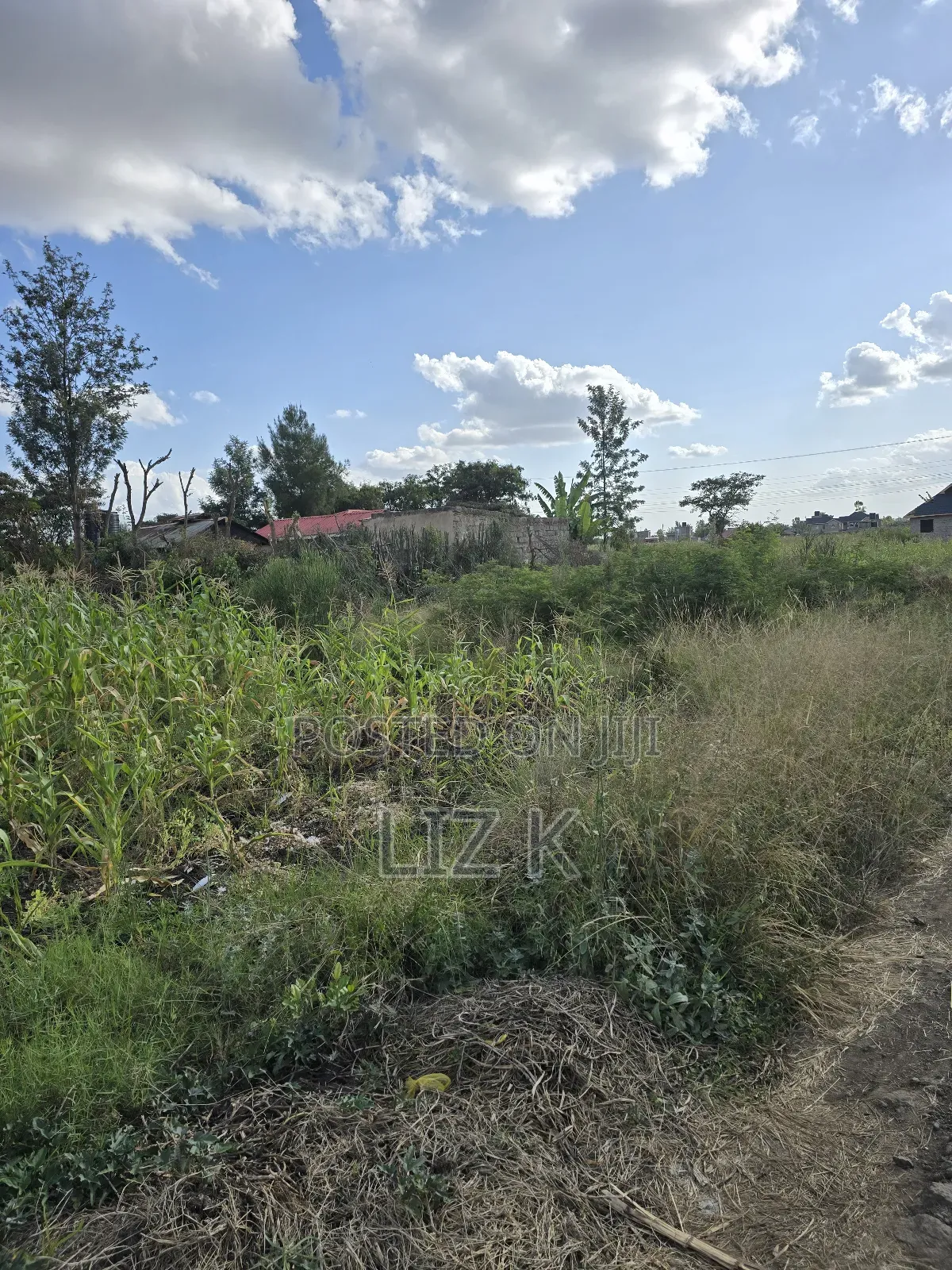 Residential Plot in Kimbo Junction(Catholic) in Ruiru