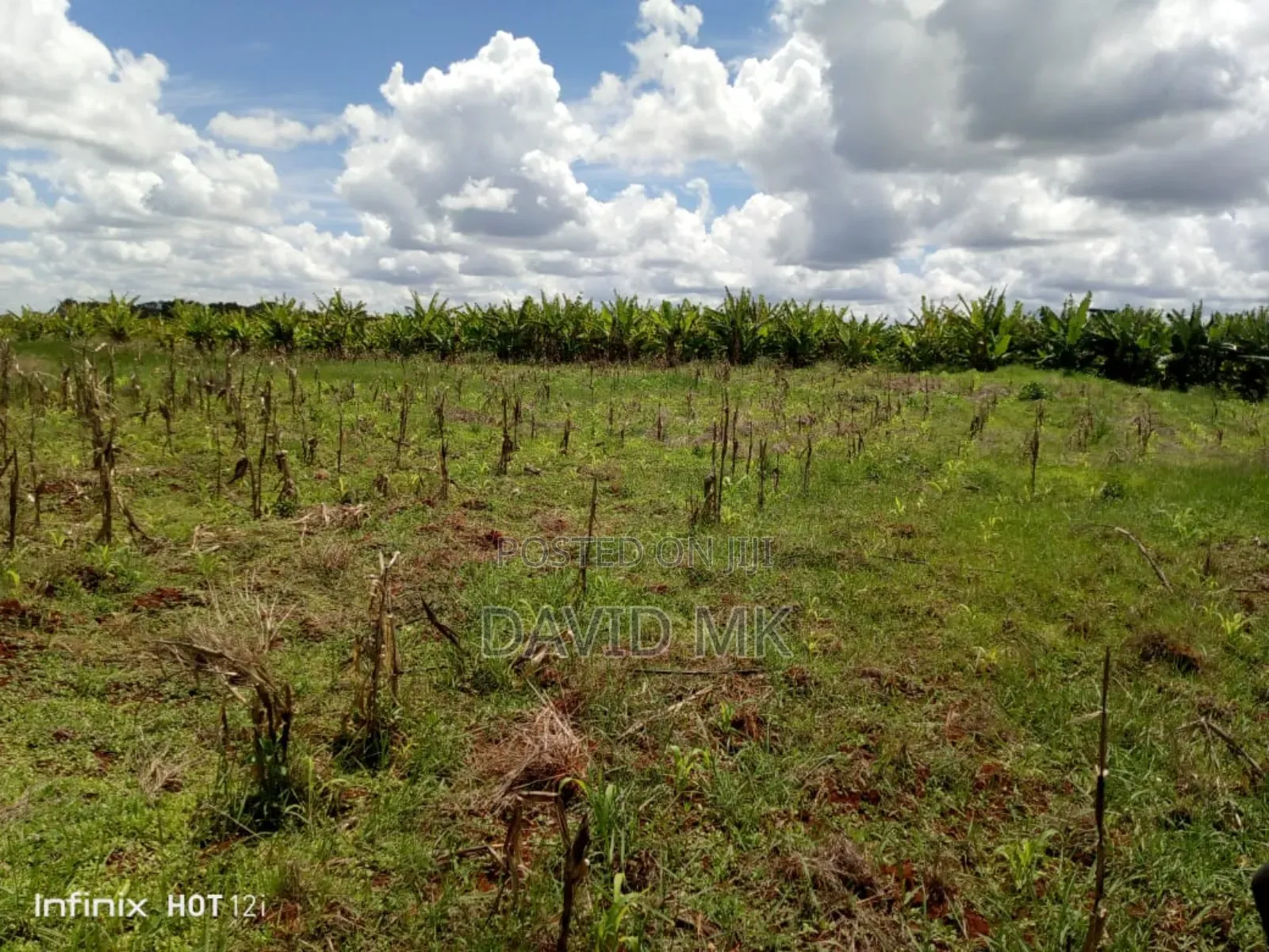 20 Acres of Land in Mbeti North