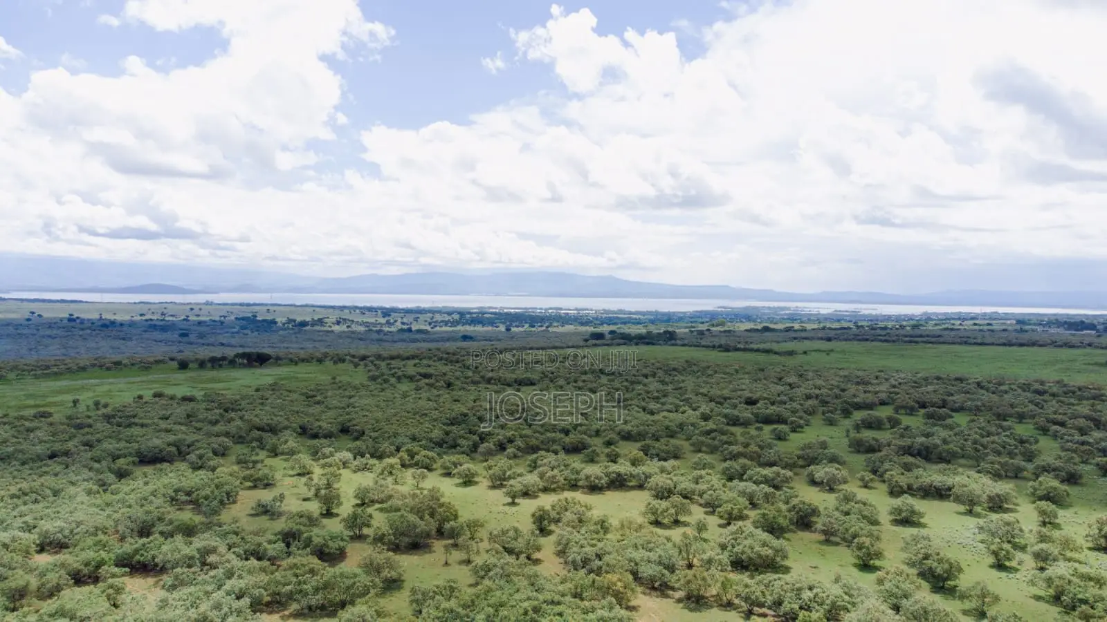 Developed 5-Acre & 10-Acre Parcels in Impala Estate, Naivasha in HellsGate