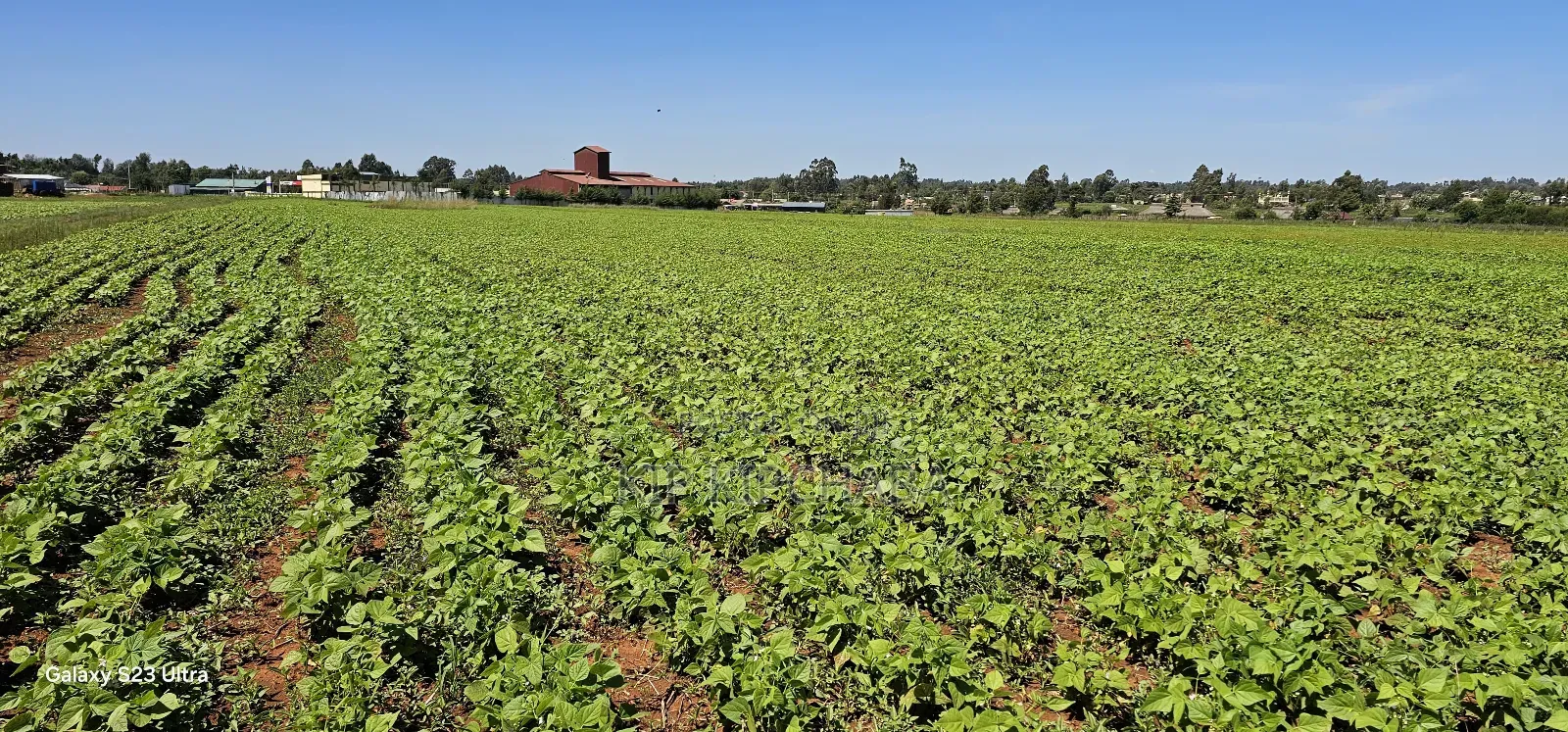 Commercial Plots for Sale in Eldoret Marura Behind Delta in Kimumu