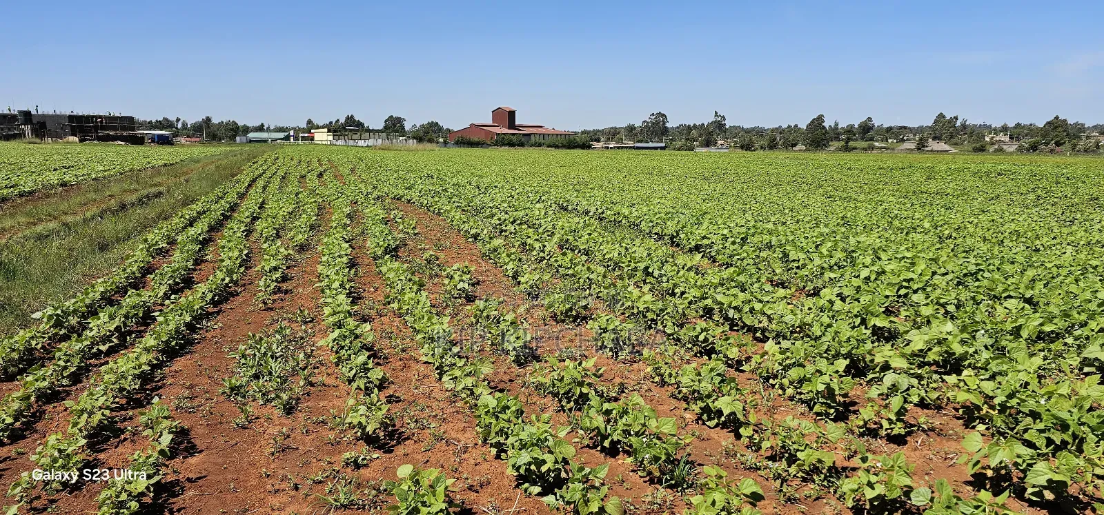 Commercial Plots for Sale in Eldoret Marura Behind Delta in Kimumu