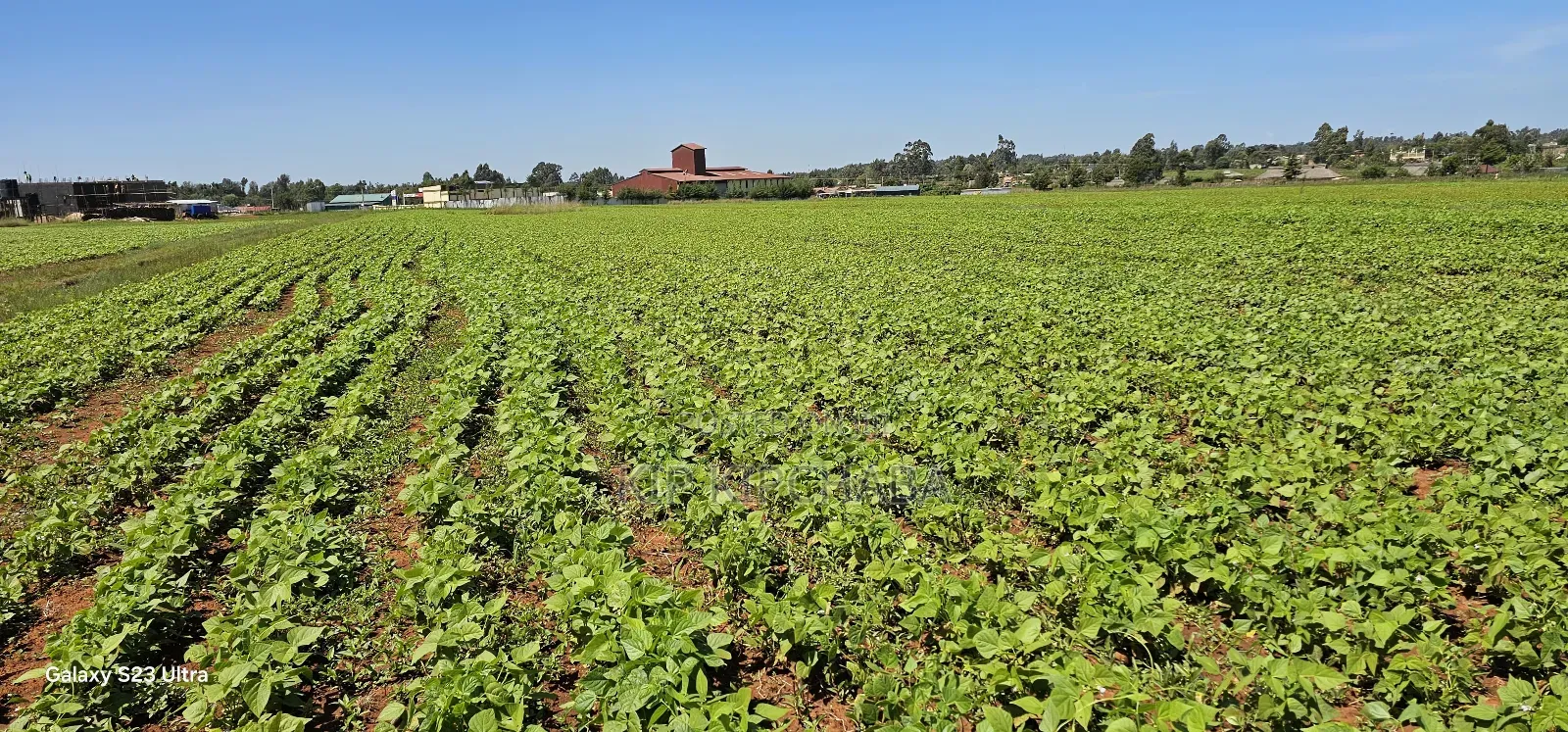 Commercial Plots for Sale in Eldoret Marura Behind Delta in Kimumu