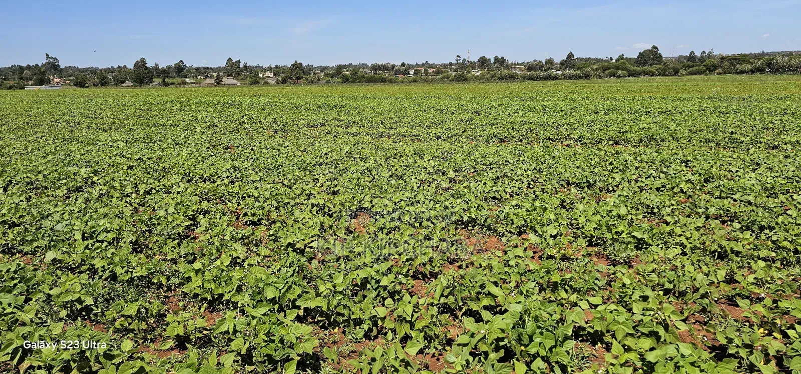 Commercial Plots for Sale in Eldoret Marura Behind Delta in Kimumu