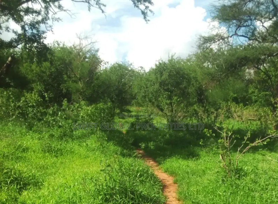 1000 Acres Block on Kambu River Is for Sale in Kambu Makueni in Mtito Andei