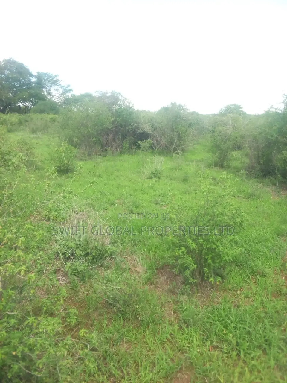 1000 Acres Block on Kambu River Is for Sale in Kambu Makueni in Mtito Andei