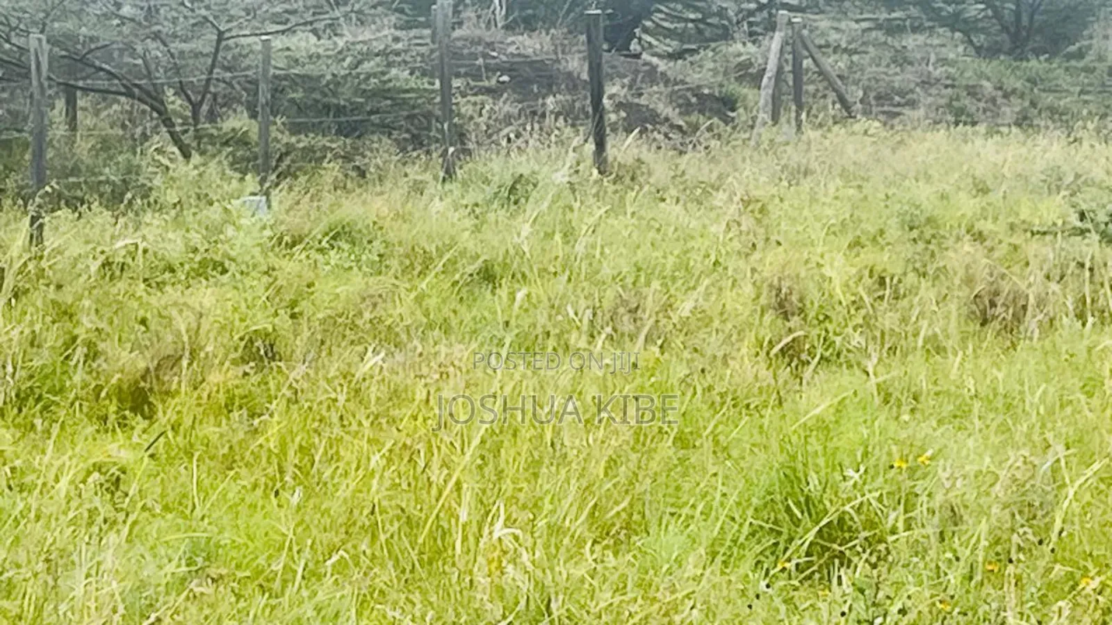 Urgent Sale in Kitengela Kisaju Area in Kitengela